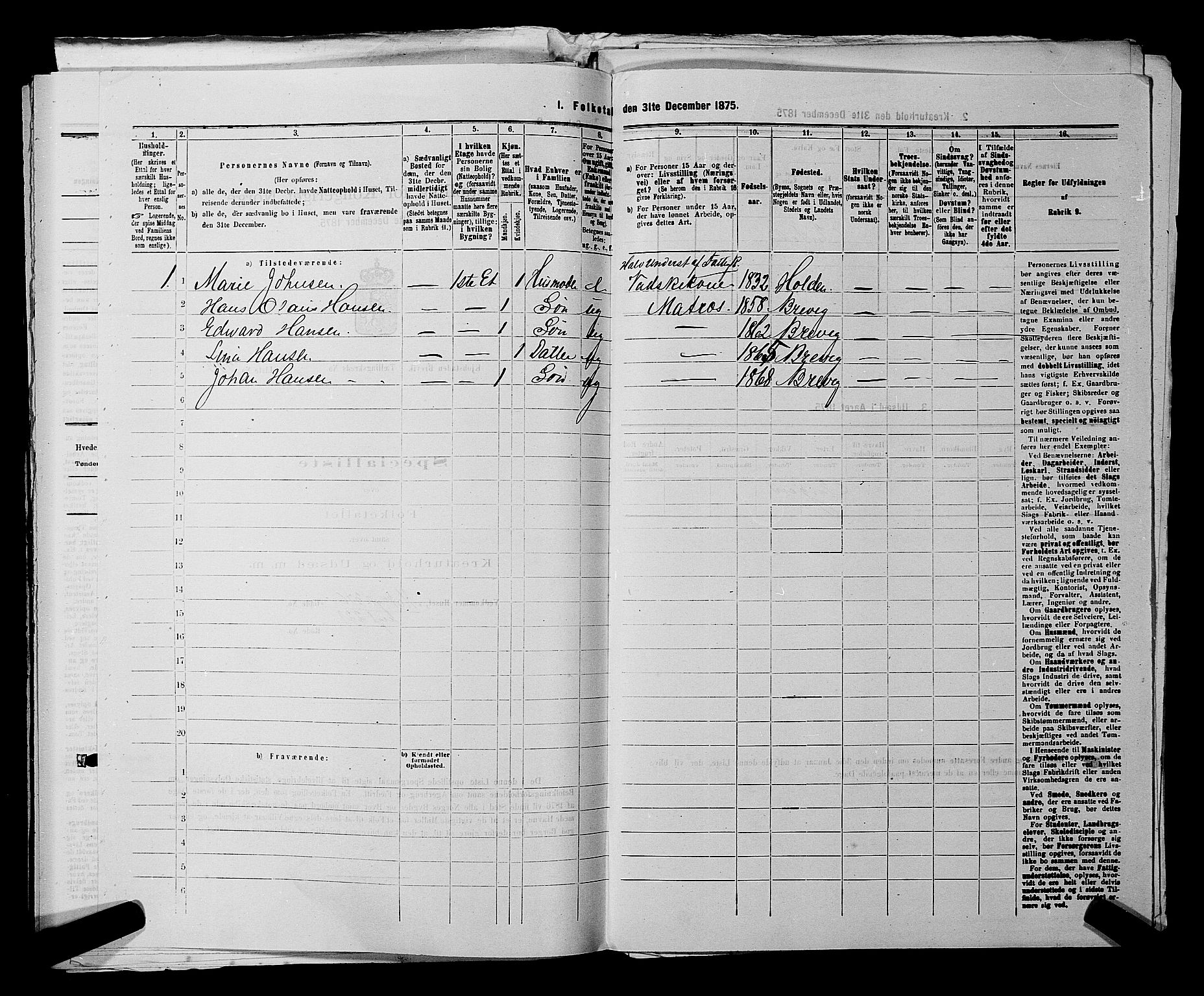 SAKO, 1875 census for 0804P Brevik, 1875, p. 481