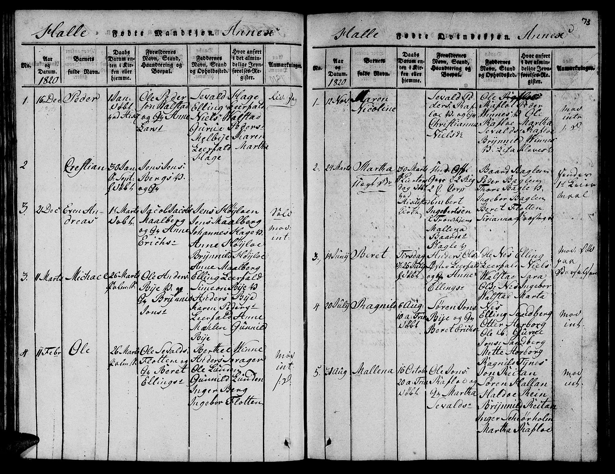 Ministerialprotokoller, klokkerbøker og fødselsregistre - Nord-Trøndelag, SAT/A-1458/723/L0251: Parish register (copy) no. 723C01 /3, 1817-1821, p. 73