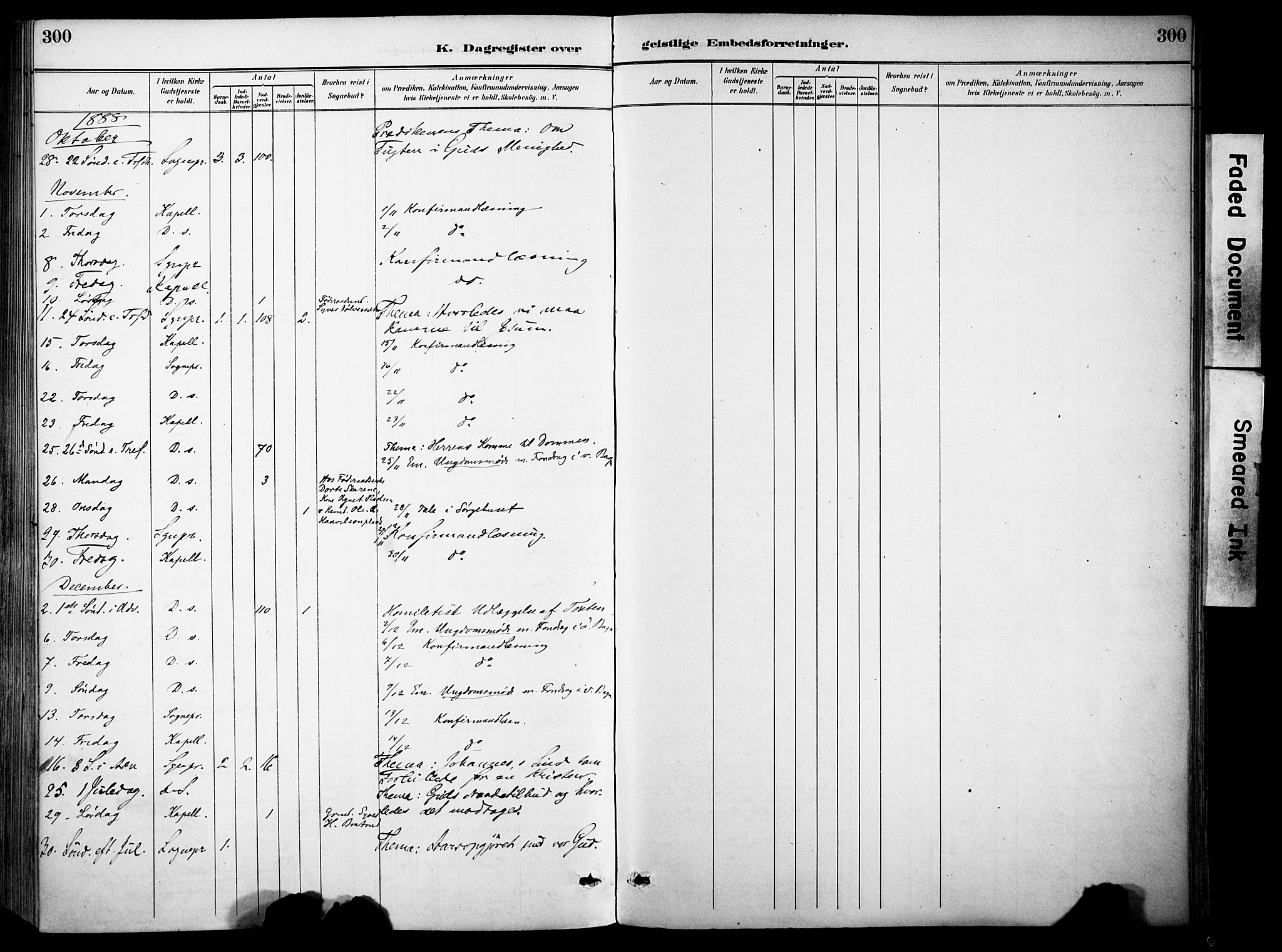 Sør-Aurdal prestekontor, AV/SAH-PREST-128/H/Ha/Haa/L0009: Parish register (official) no. 9, 1886-1906, p. 300