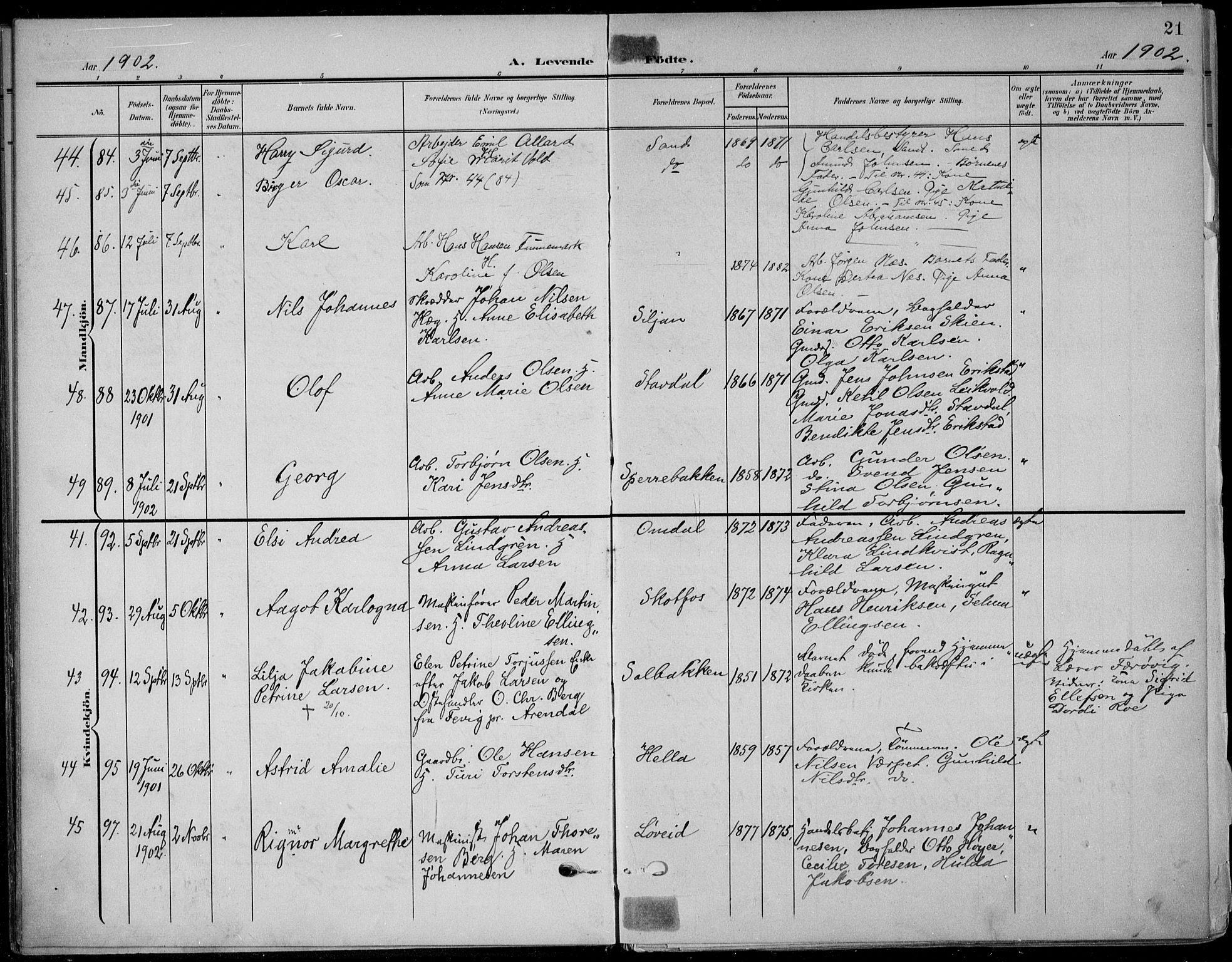 Solum kirkebøker, AV/SAKO-A-306/F/Fb/L0003: Parish register (official) no. II 3, 1901-1912, p. 21