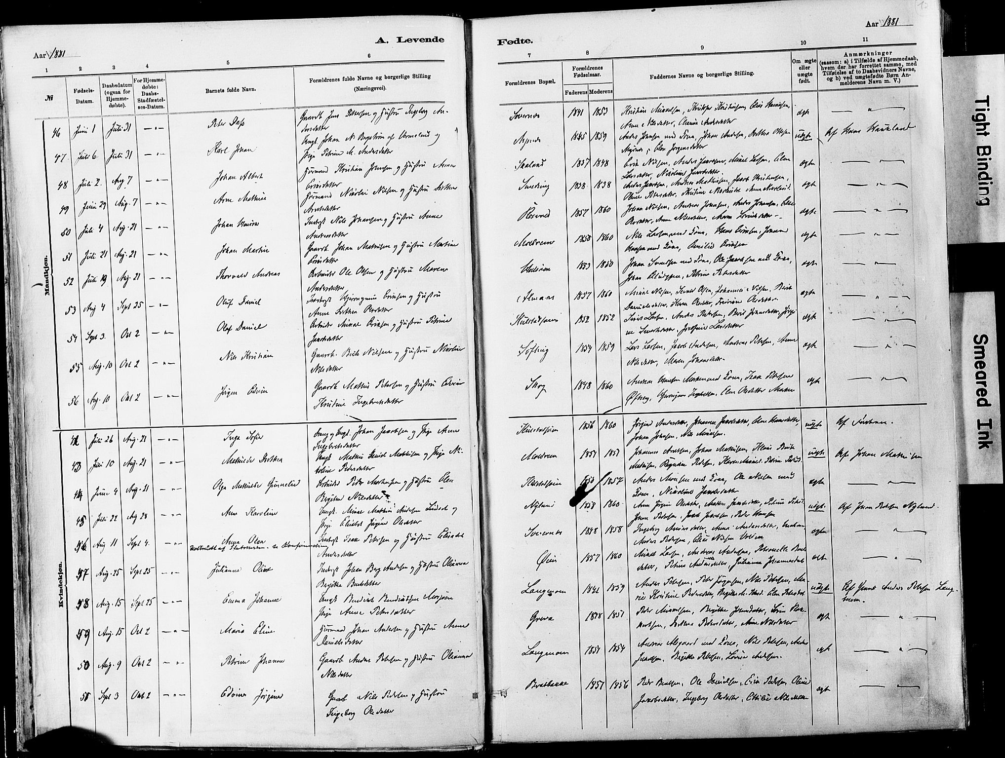 Ministerialprotokoller, klokkerbøker og fødselsregistre - Nordland, SAT/A-1459/820/L0295: Parish register (official) no. 820A16, 1880-1896, p. 12