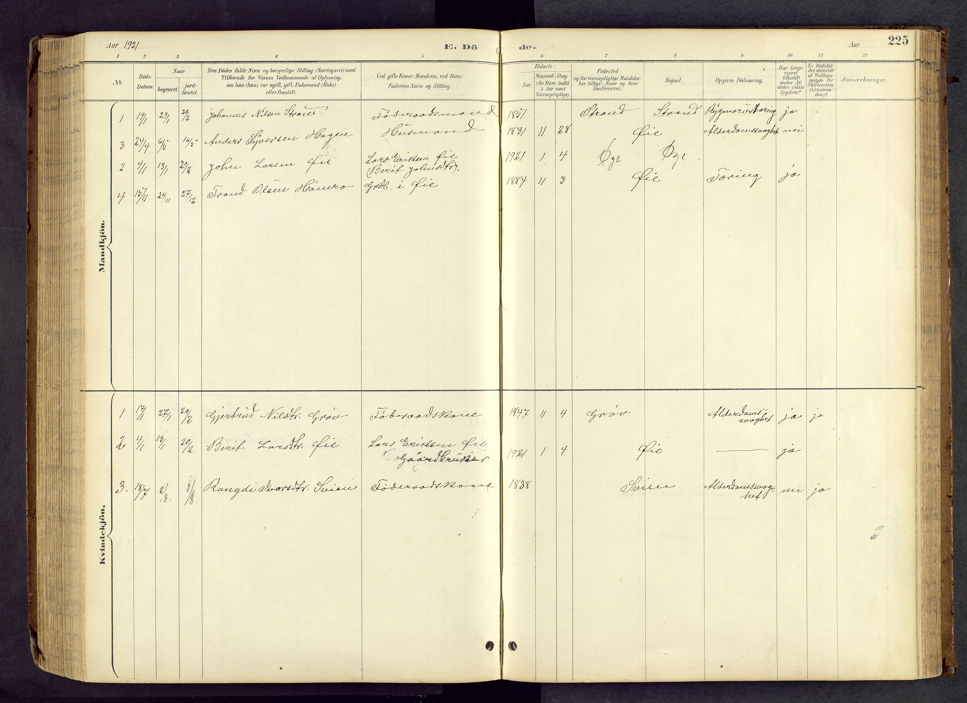 Vang prestekontor, Valdres, AV/SAH-PREST-140/H/Hb/L0005: Parish register (copy) no. 5, 1889-1945, p. 225