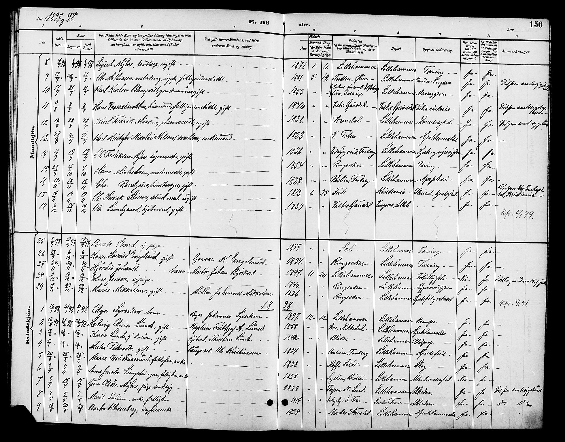 Fåberg prestekontor, SAH/PREST-086/H/Ha/Hab/L0008: Parish register (copy) no. 8, 1891-1900, p. 156