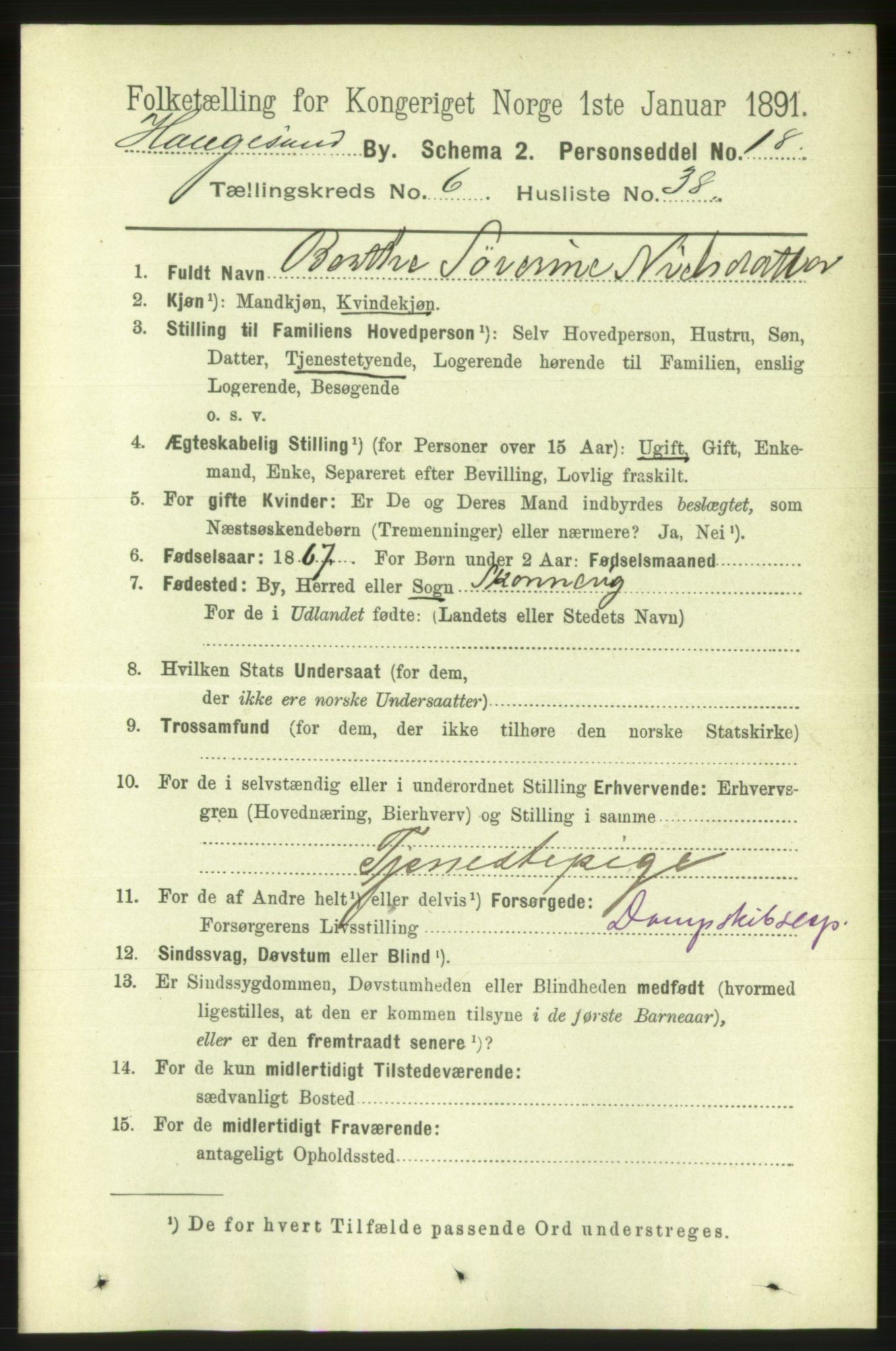 RA, 1891 census for 1106 Haugesund, 1891, p. 3014