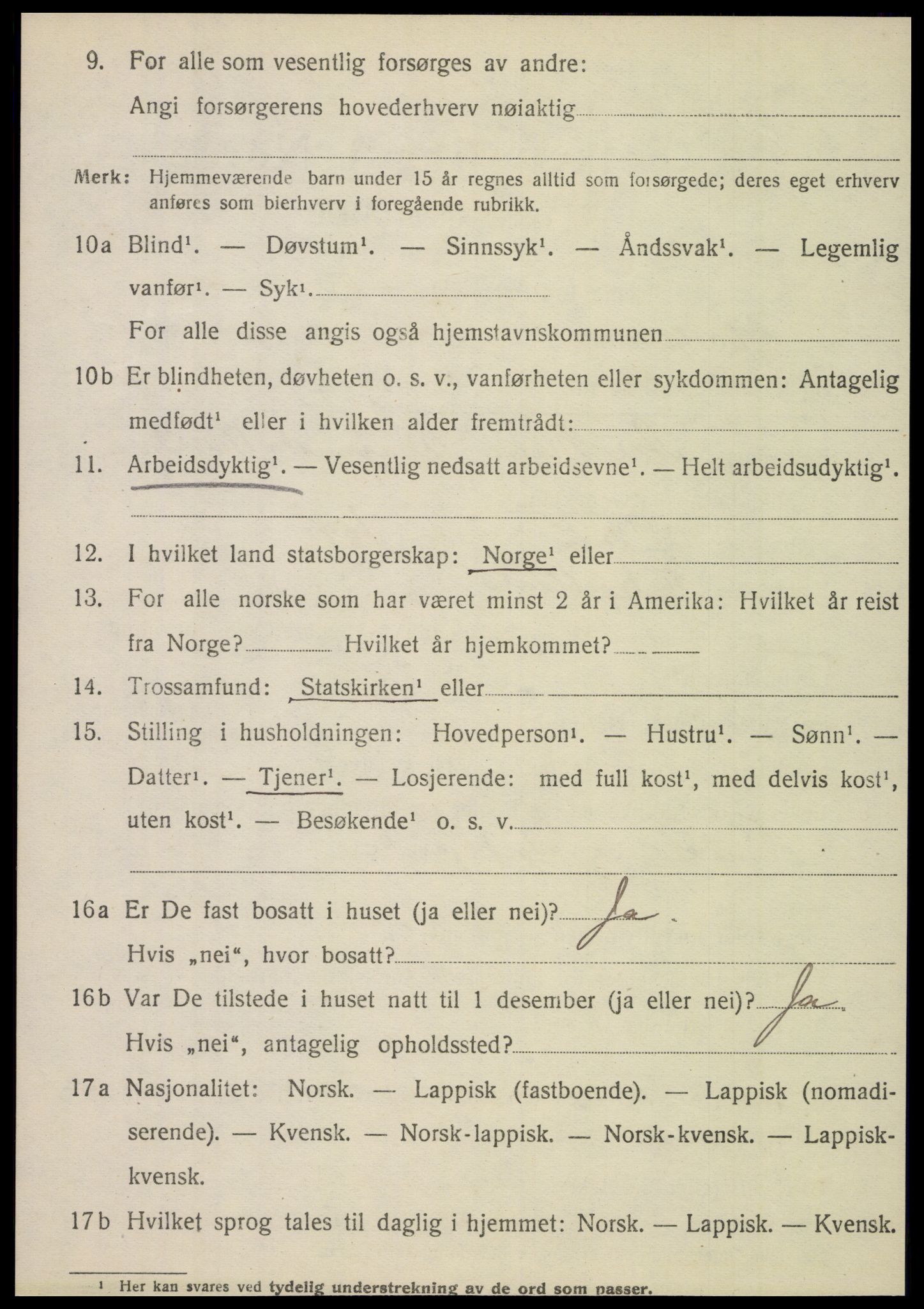 SAT, 1920 census for Hattfjelldal, 1920, p. 533