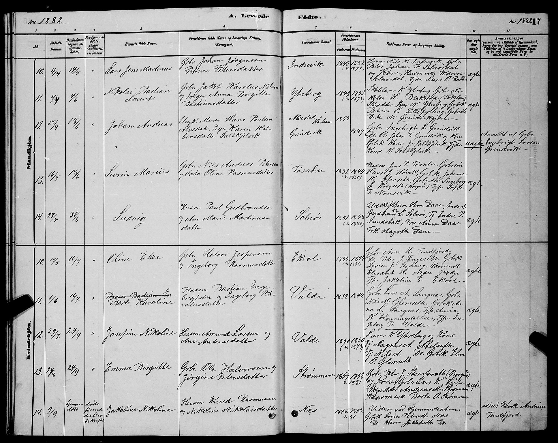 Ministerialprotokoller, klokkerbøker og fødselsregistre - Møre og Romsdal, SAT/A-1454/524/L0365: Parish register (copy) no. 524C06, 1880-1899, p. 17