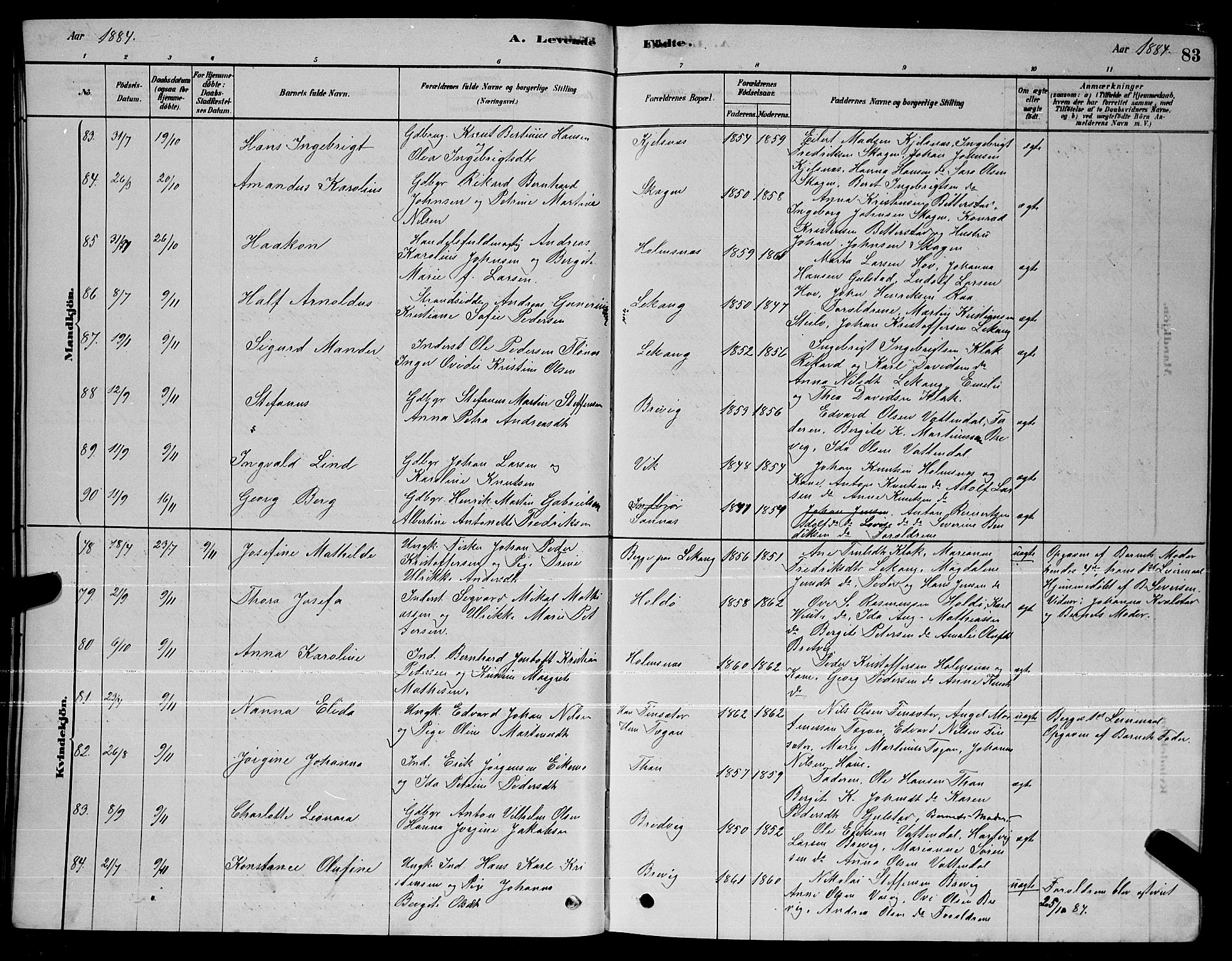 Ministerialprotokoller, klokkerbøker og fødselsregistre - Nordland, SAT/A-1459/888/L1267: Parish register (copy) no. 888C05, 1878-1890, p. 83