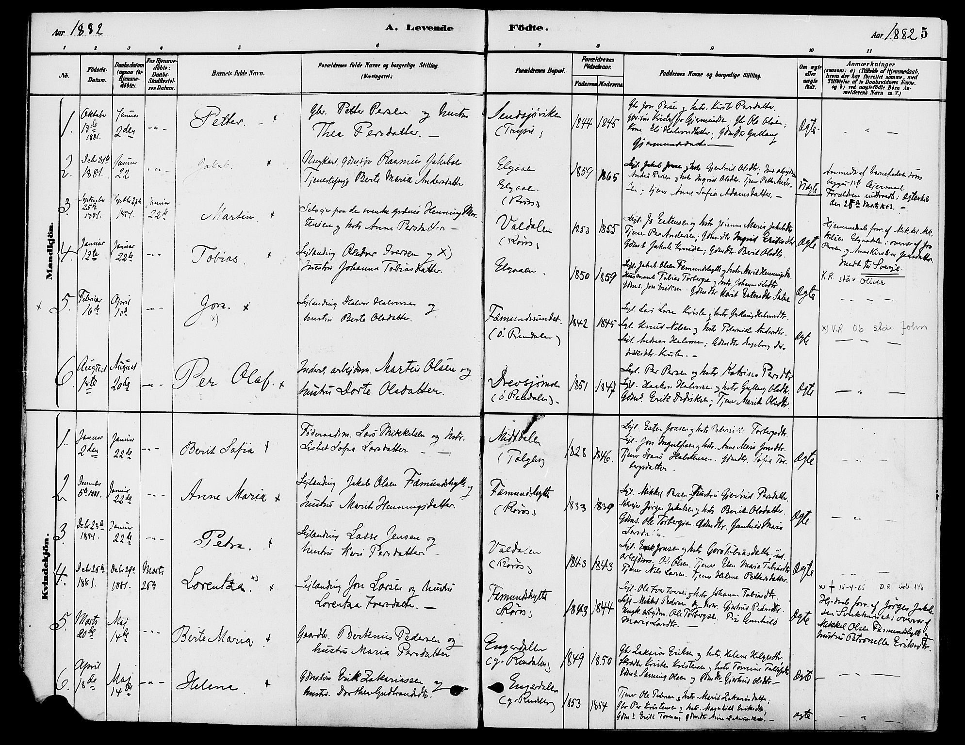 Engerdal prestekontor, AV/SAH-PREST-048/H/Ha/Haa/L0001: Parish register (official) no. 1, 1881-1898, p. 5