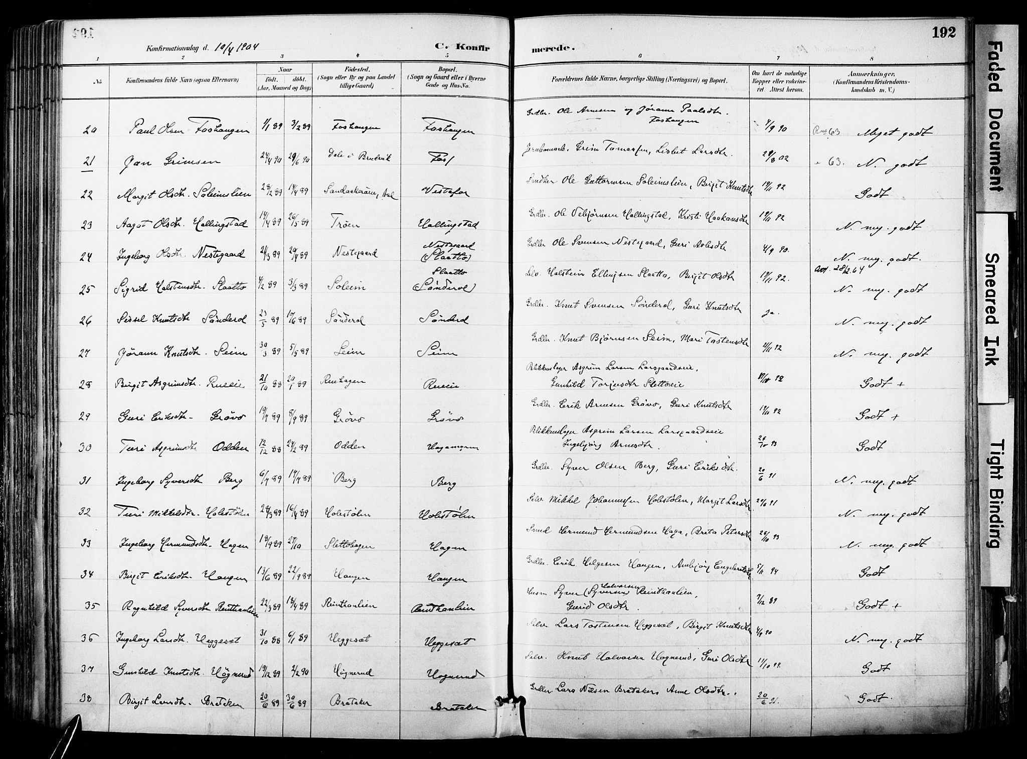 Hol kirkebøker, SAKO/A-227/F/Fa/L0003: Parish register (official) no. I 3, 1887-1918, p. 192