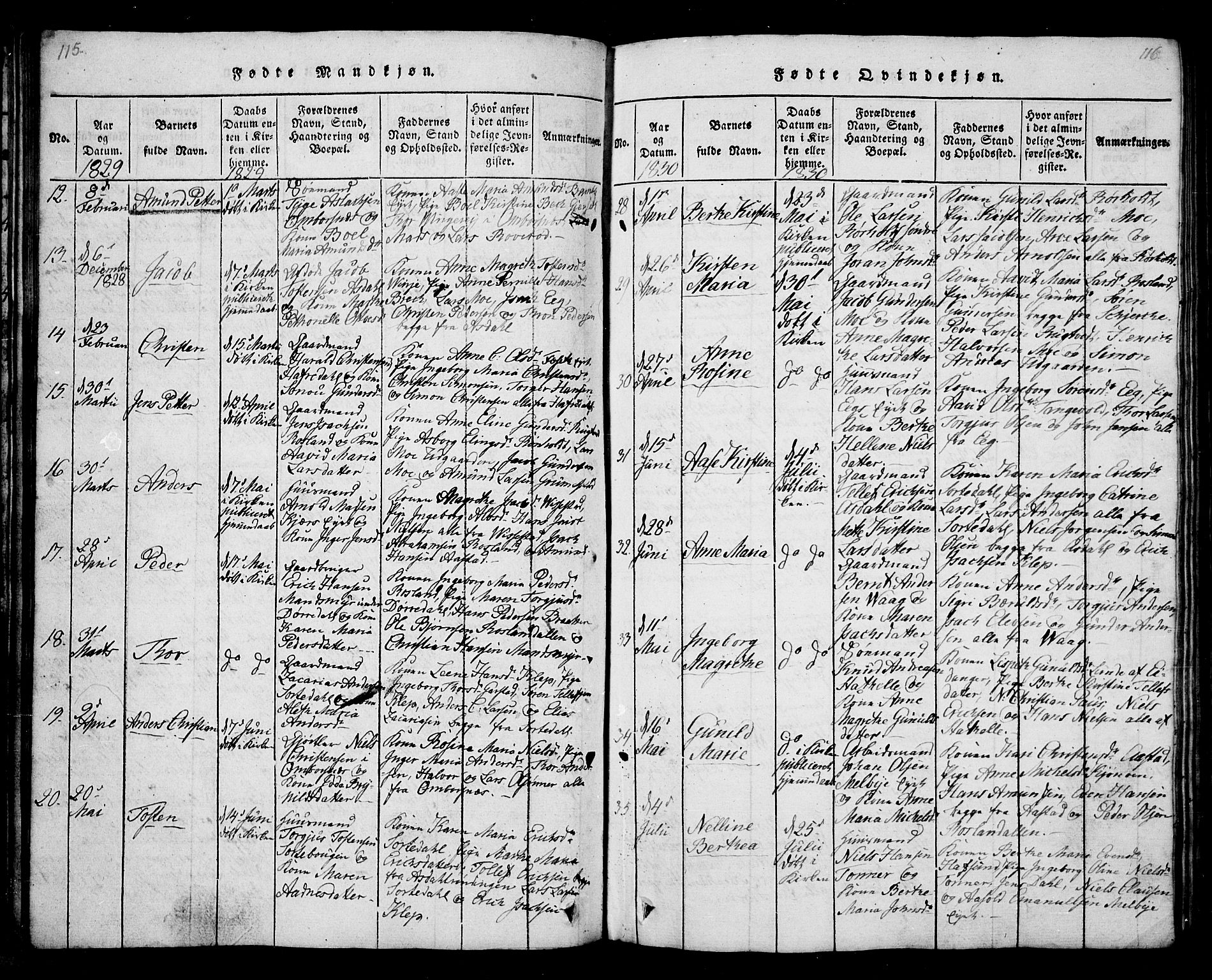 Bamble kirkebøker, AV/SAKO-A-253/G/Ga/L0005: Parish register (copy) no. I 5, 1814-1855, p. 115-116