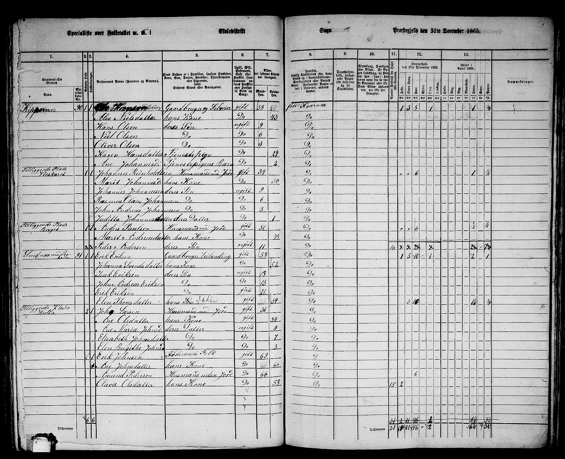 RA, 1865 census for Kvernes, 1865, p. 147