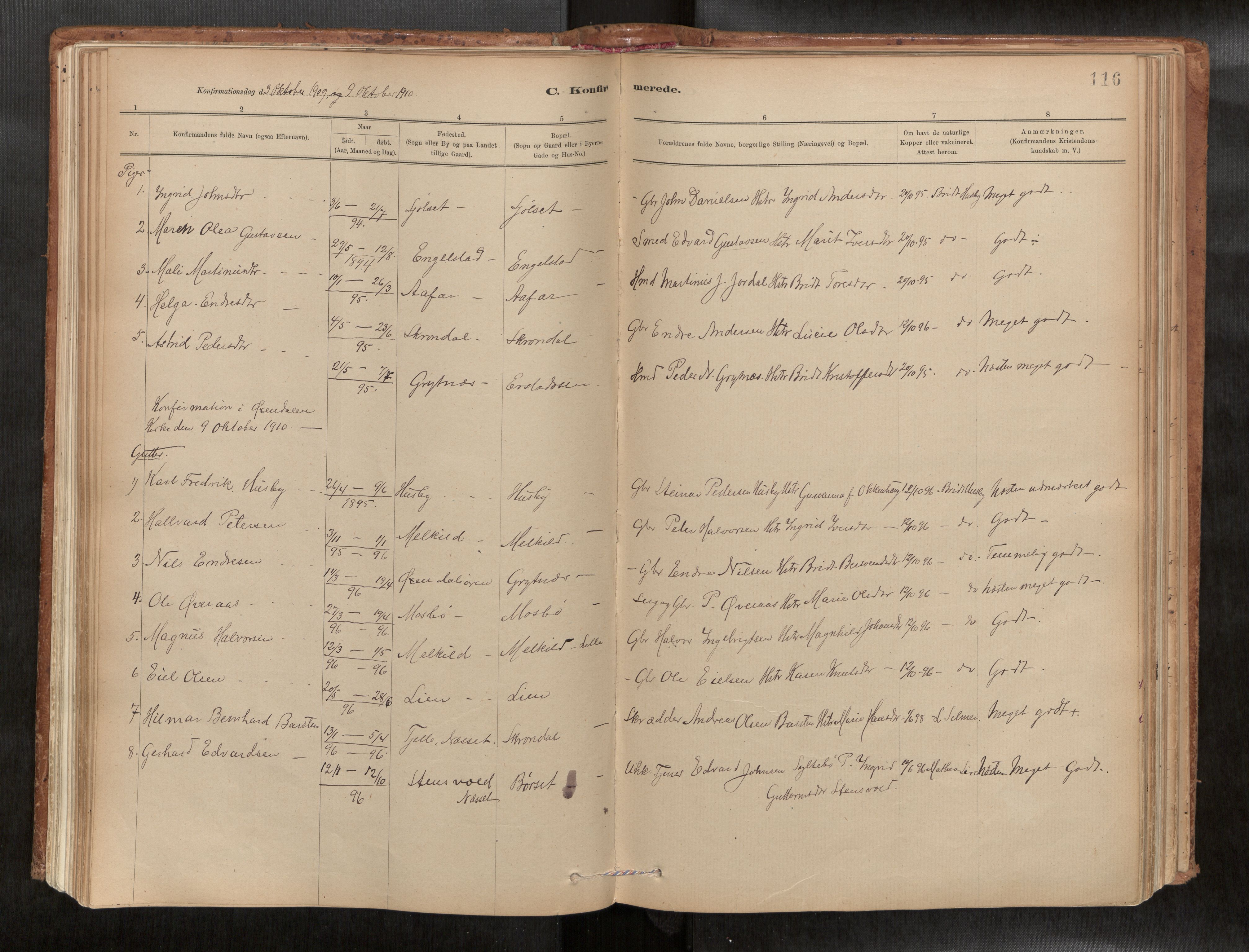 Ministerialprotokoller, klokkerbøker og fødselsregistre - Møre og Romsdal, SAT/A-1454/588/L1006: Parish register (official) no. 588A03, 1886-1912, p. 116