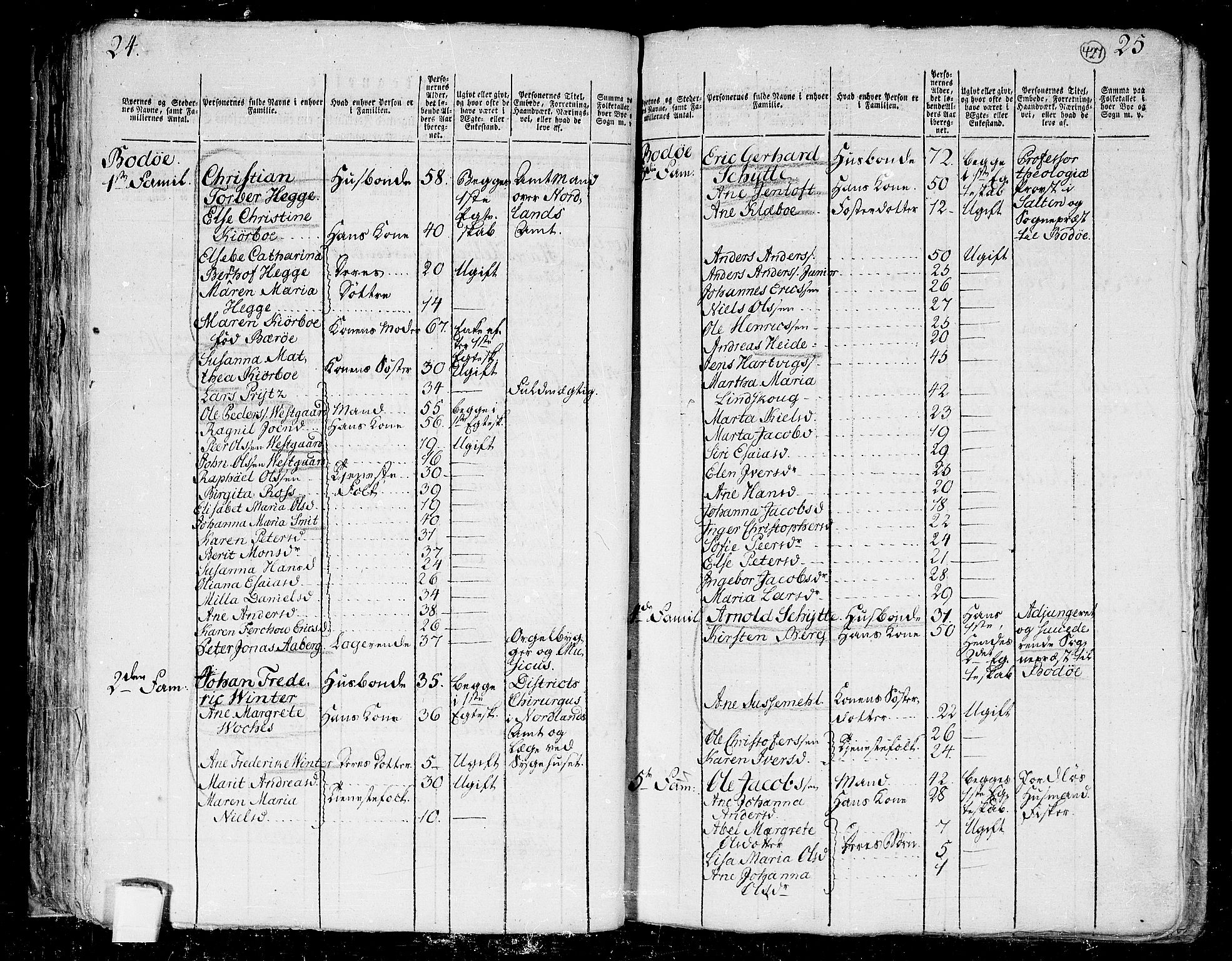 RA, 1801 census for 1843P Bodø, 1801, p. 426b-427a