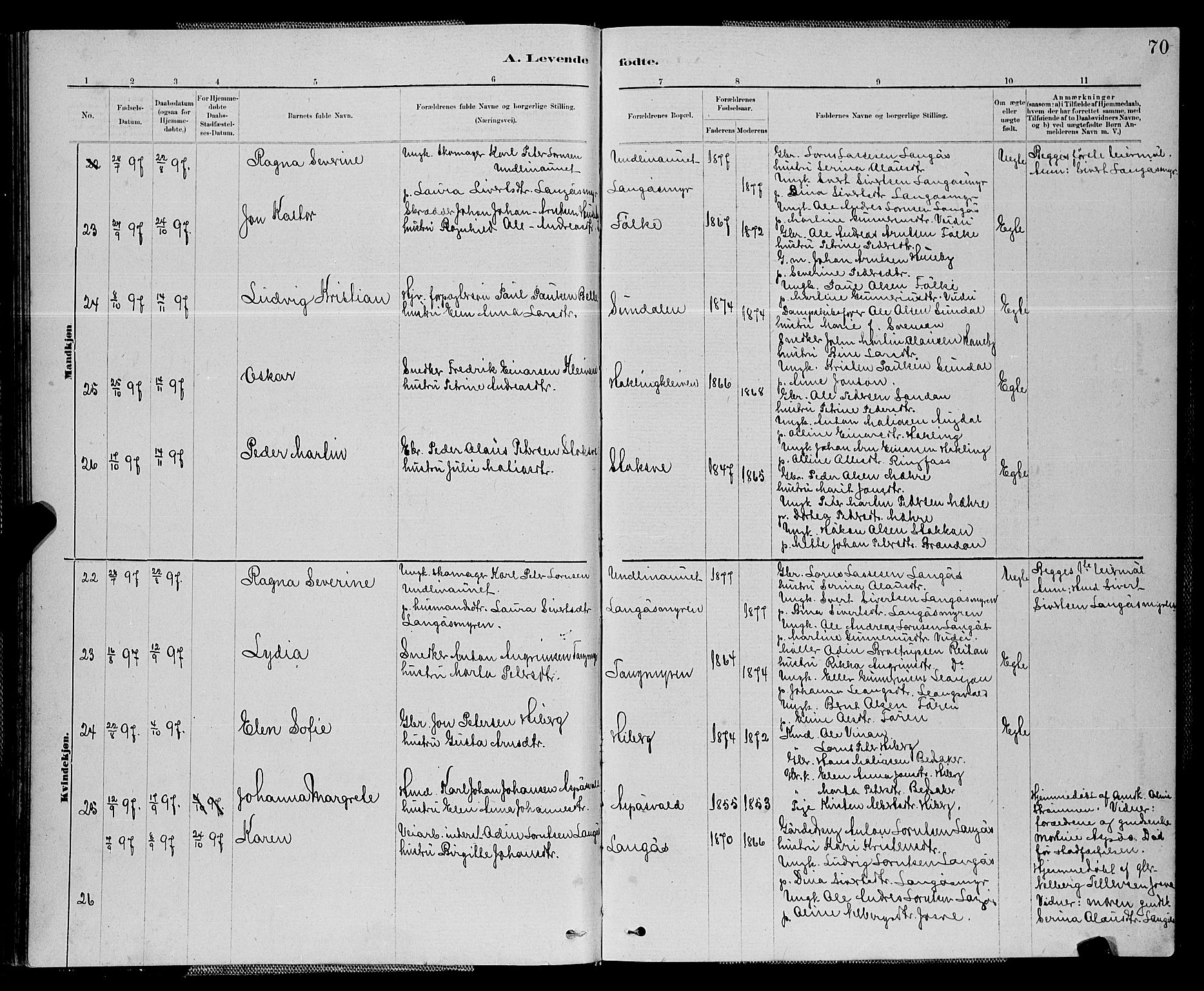 Ministerialprotokoller, klokkerbøker og fødselsregistre - Nord-Trøndelag, SAT/A-1458/714/L0134: Parish register (copy) no. 714C03, 1878-1898, p. 70
