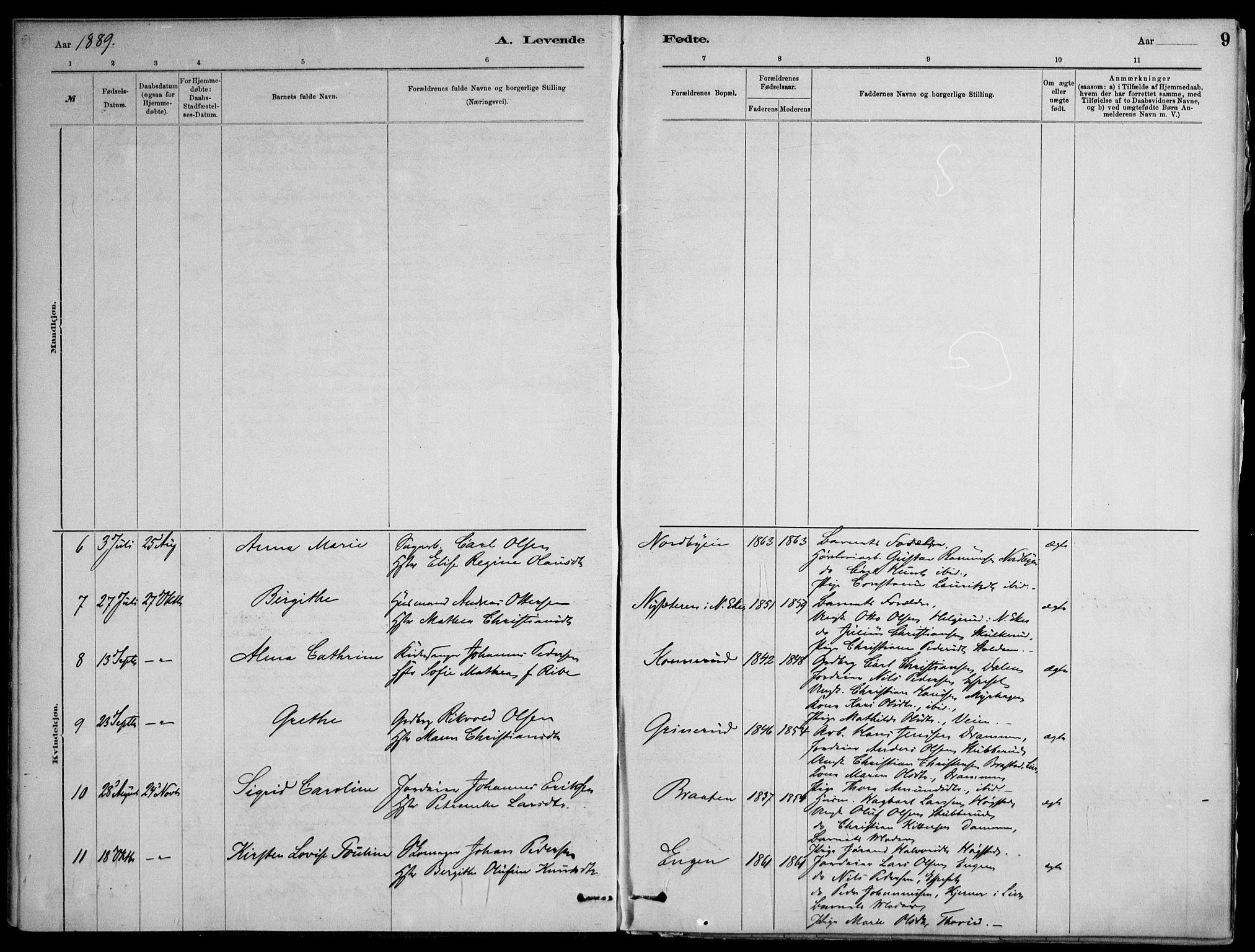 Skoger kirkebøker, SAKO/A-59/F/Fb/L0001: Parish register (official) no. II 1, 1885-1913, p. 9