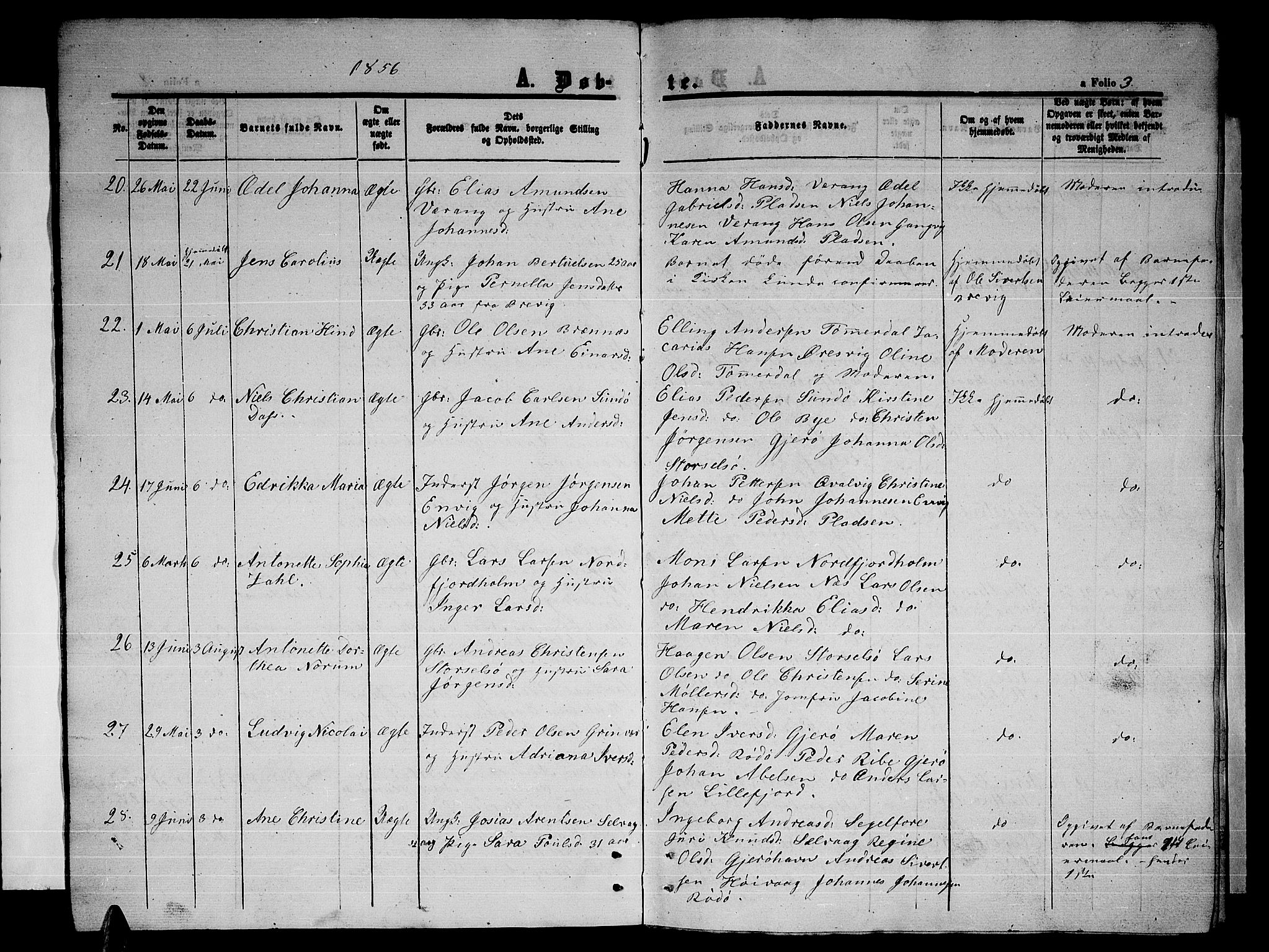 Ministerialprotokoller, klokkerbøker og fødselsregistre - Nordland, AV/SAT-A-1459/841/L0619: Parish register (copy) no. 841C03, 1856-1876, p. 3