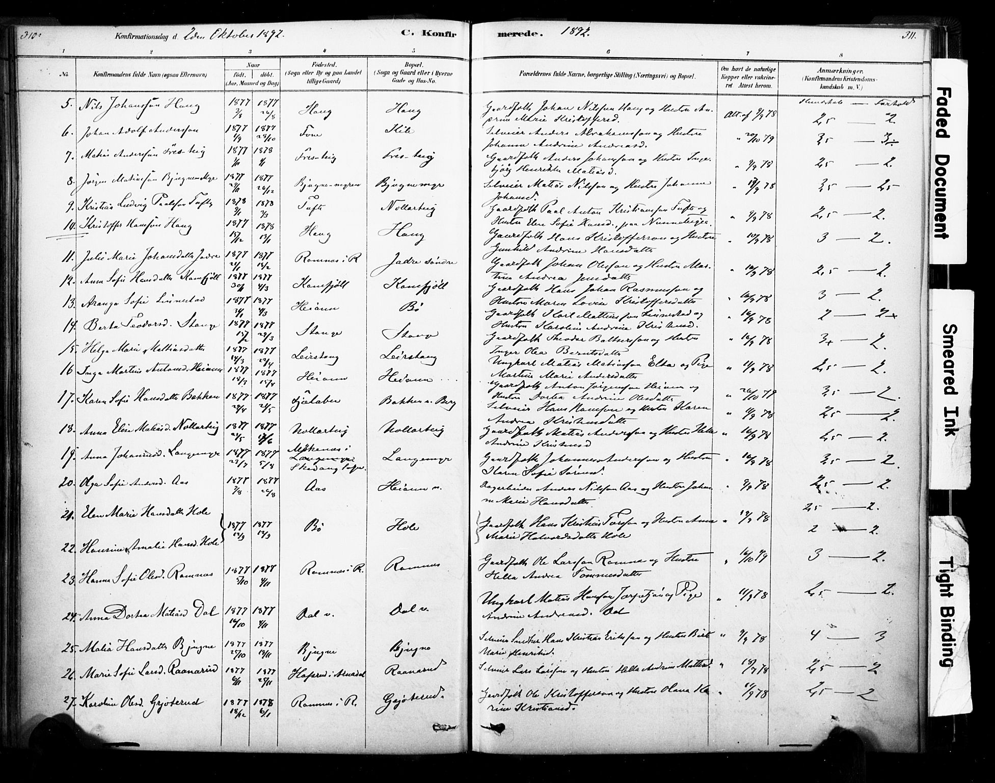 Ramnes kirkebøker, AV/SAKO-A-314/F/Fa/L0007: Parish register (official) no. I 7, 1878-1895, p. 310-311