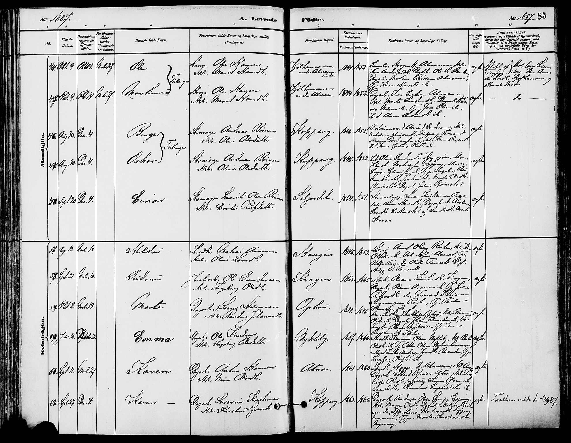 Stor-Elvdal prestekontor, AV/SAH-PREST-052/H/Ha/Haa/L0002: Parish register (official) no. 2, 1882-1907, p. 85