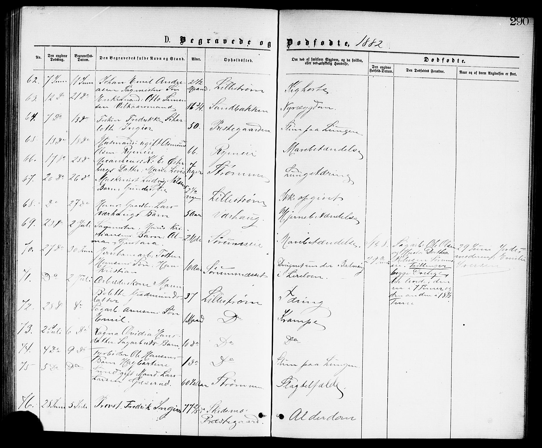 Skedsmo prestekontor Kirkebøker, AV/SAO-A-10033a/G/Ga/L0003: Parish register (copy) no. I 3, 1873-1882, p. 290