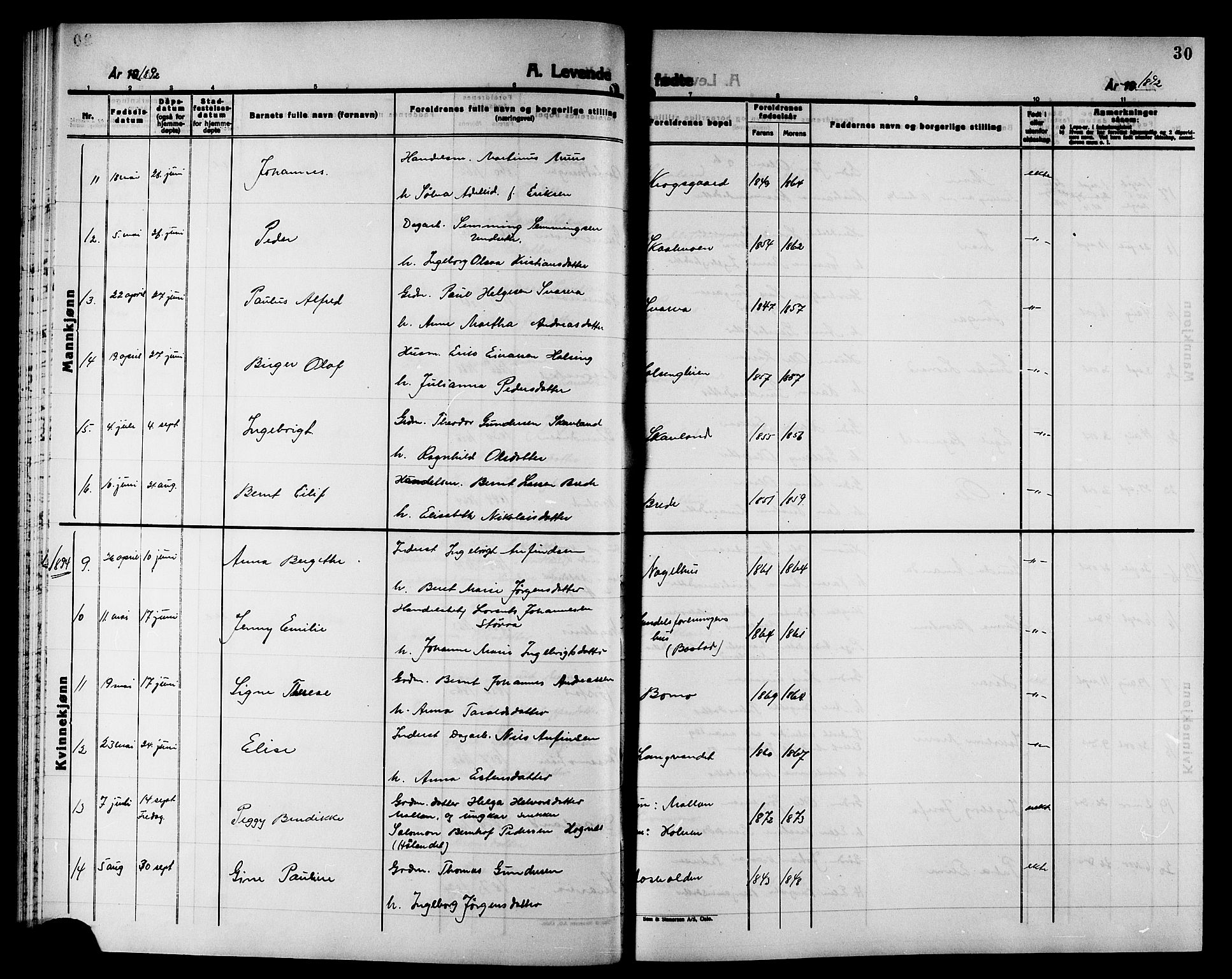 Ministerialprotokoller, klokkerbøker og fødselsregistre - Nord-Trøndelag, SAT/A-1458/749/L0487: Parish register (official) no. 749D03, 1887-1902, p. 30