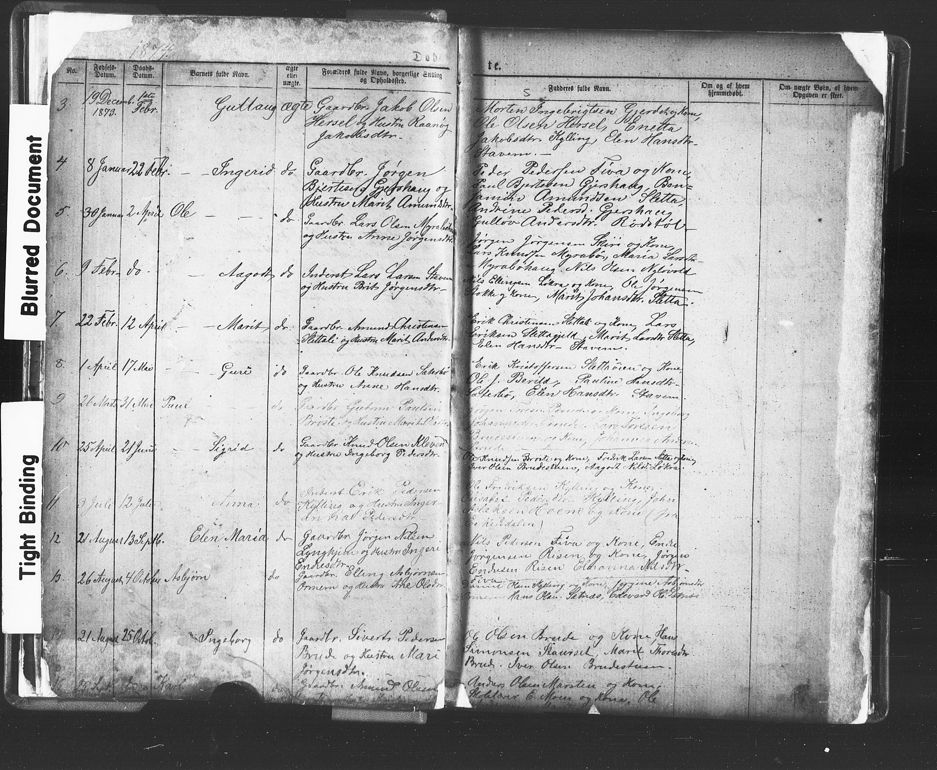 Ministerialprotokoller, klokkerbøker og fødselsregistre - Møre og Romsdal, AV/SAT-A-1454/546/L0596: Parish register (copy) no. 546C02, 1867-1921, p. 19