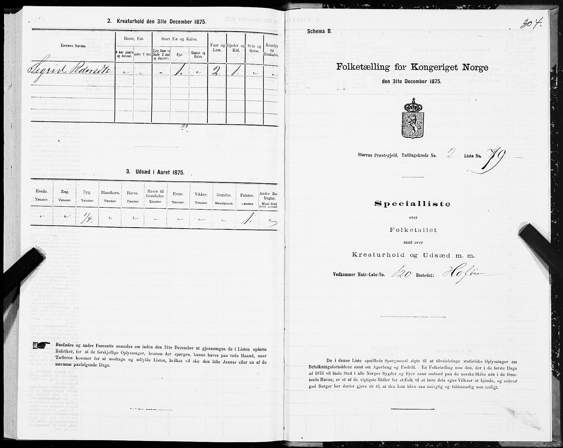 SAT, 1875 census for 1648P Støren, 1875, p. 7304