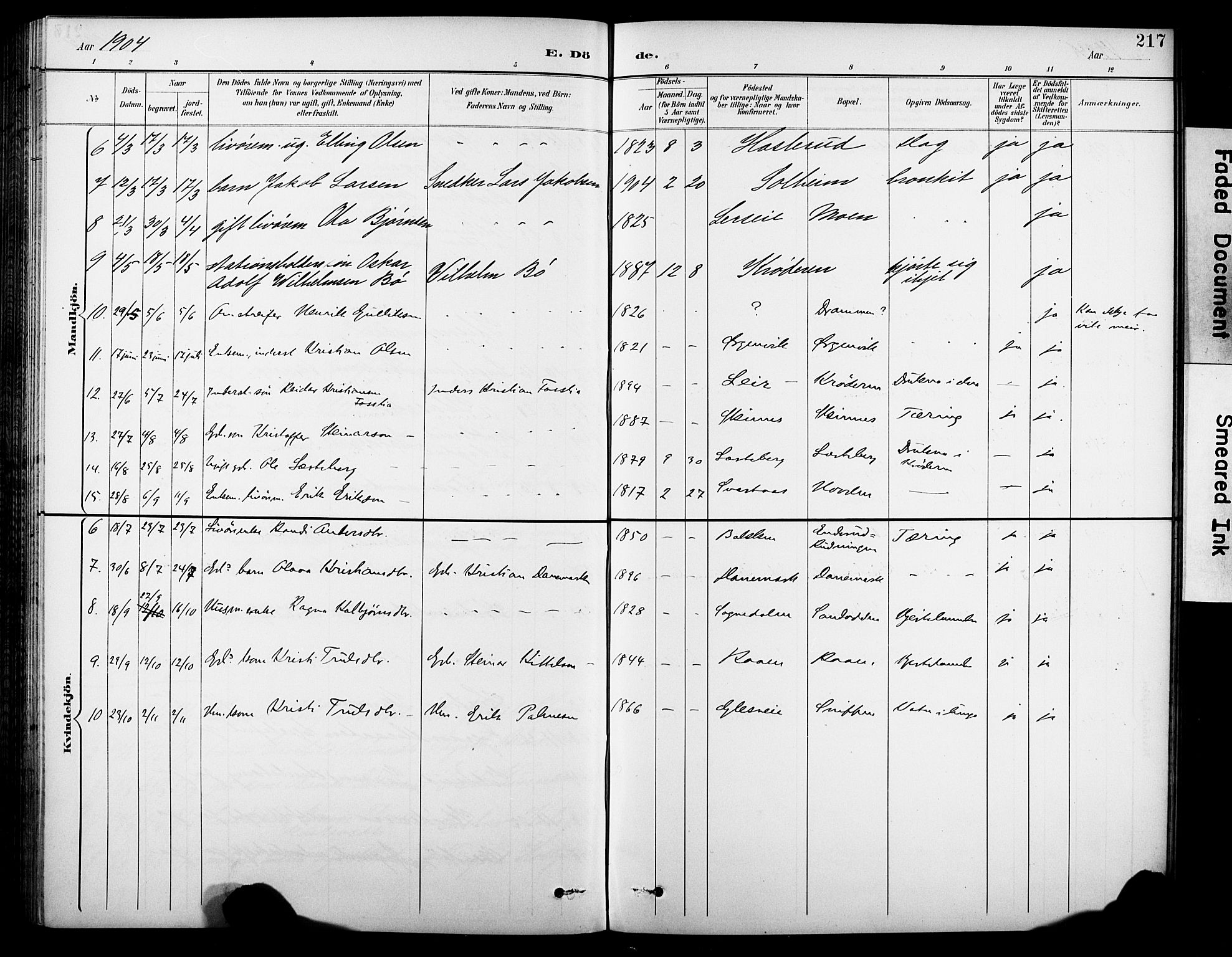 Krødsherad kirkebøker, AV/SAKO-A-19/G/Ga/L0002: Parish register (copy) no. 2, 1894-1918, p. 217