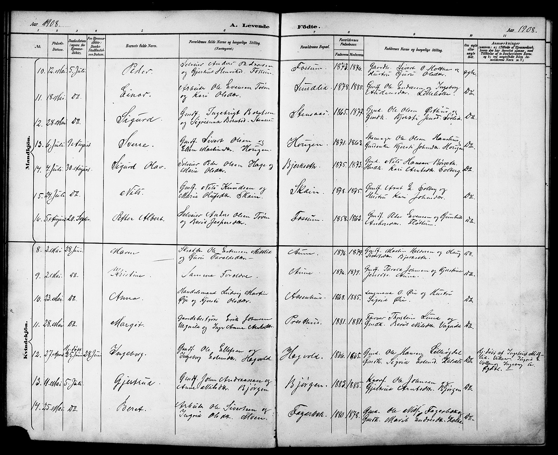 Ministerialprotokoller, klokkerbøker og fødselsregistre - Sør-Trøndelag, AV/SAT-A-1456/689/L1044: Parish register (copy) no. 689C03, 1893-1922
