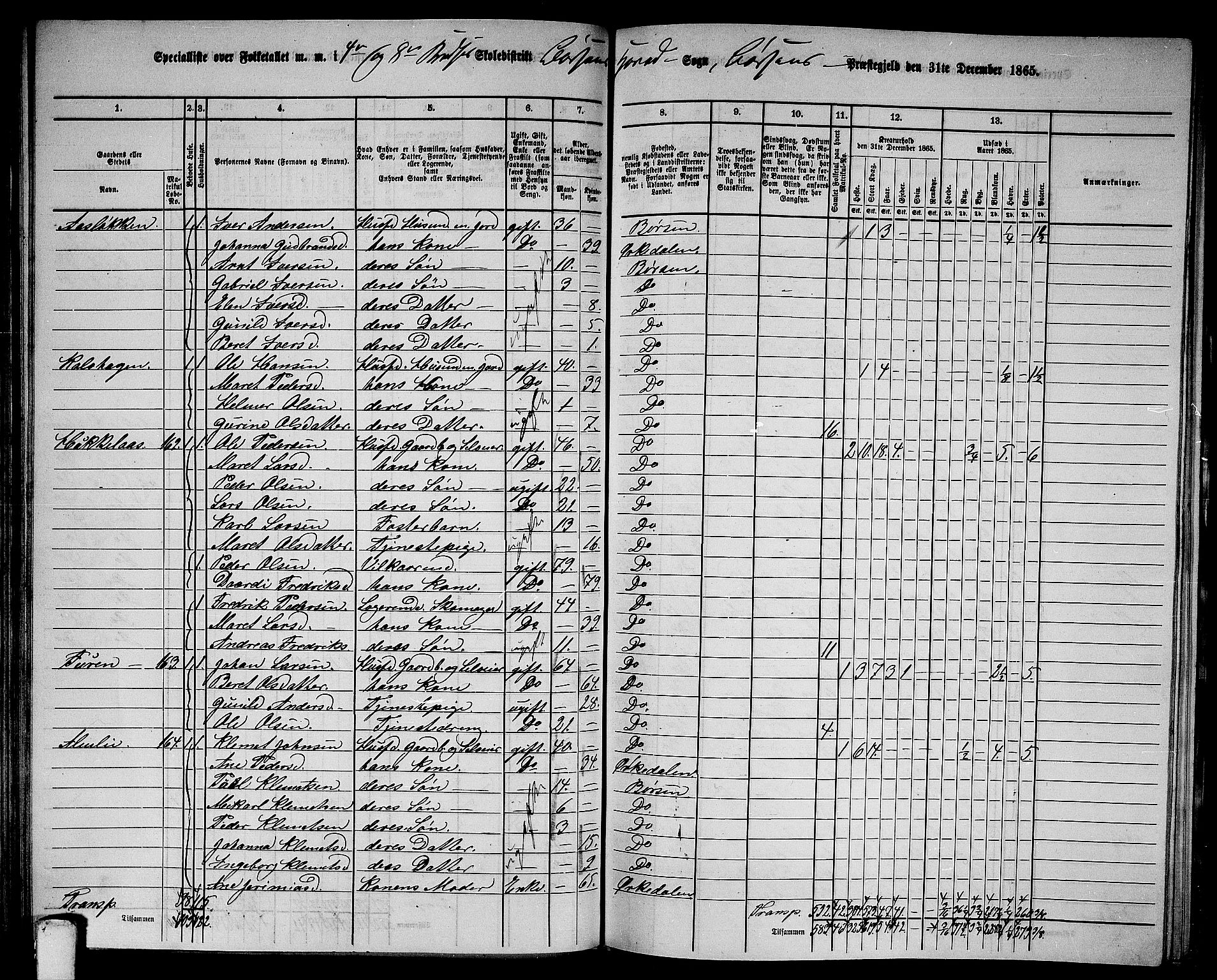 RA, 1865 census for Børsa, 1865, p. 85