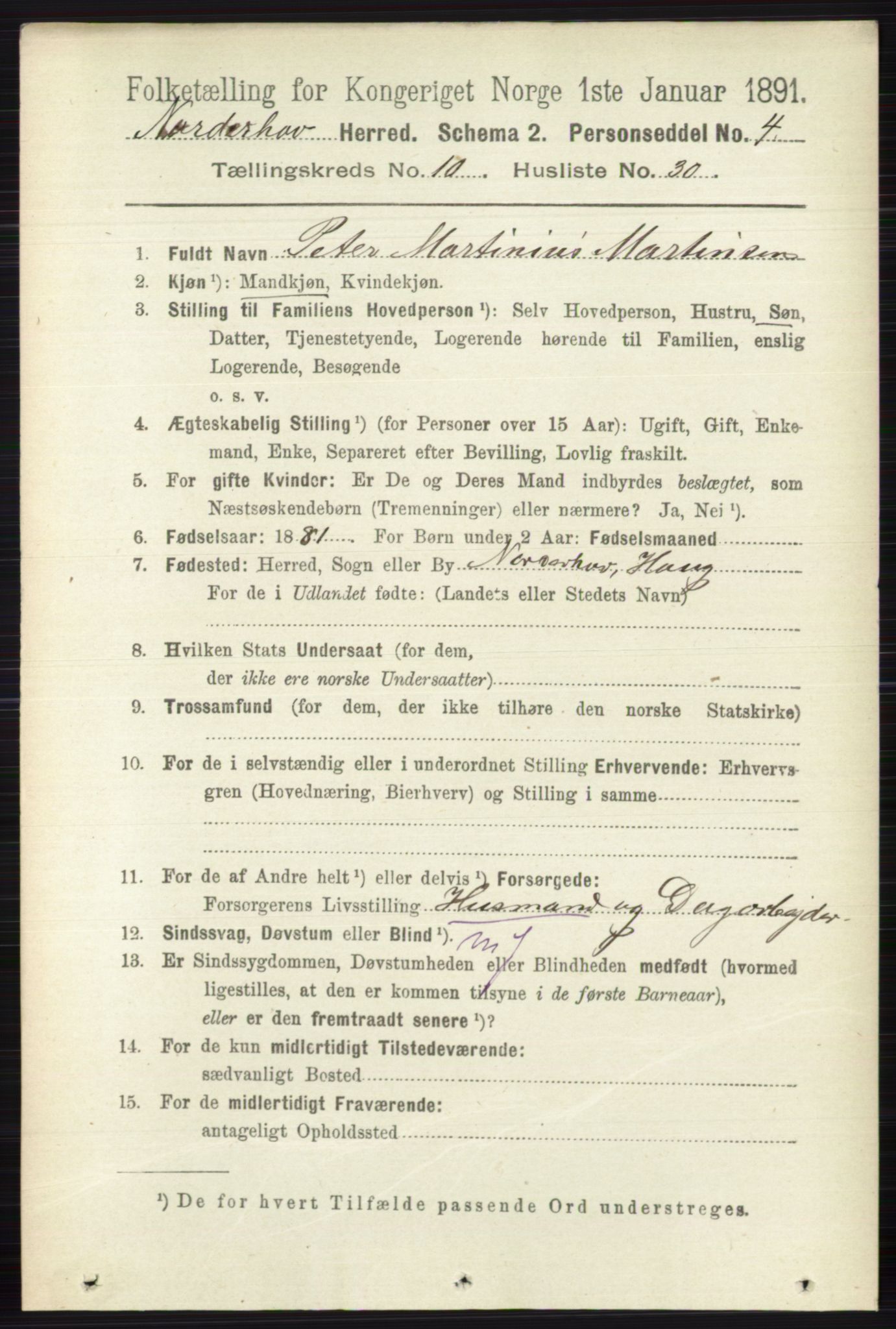 RA, 1891 census for 0613 Norderhov, 1891, p. 7675