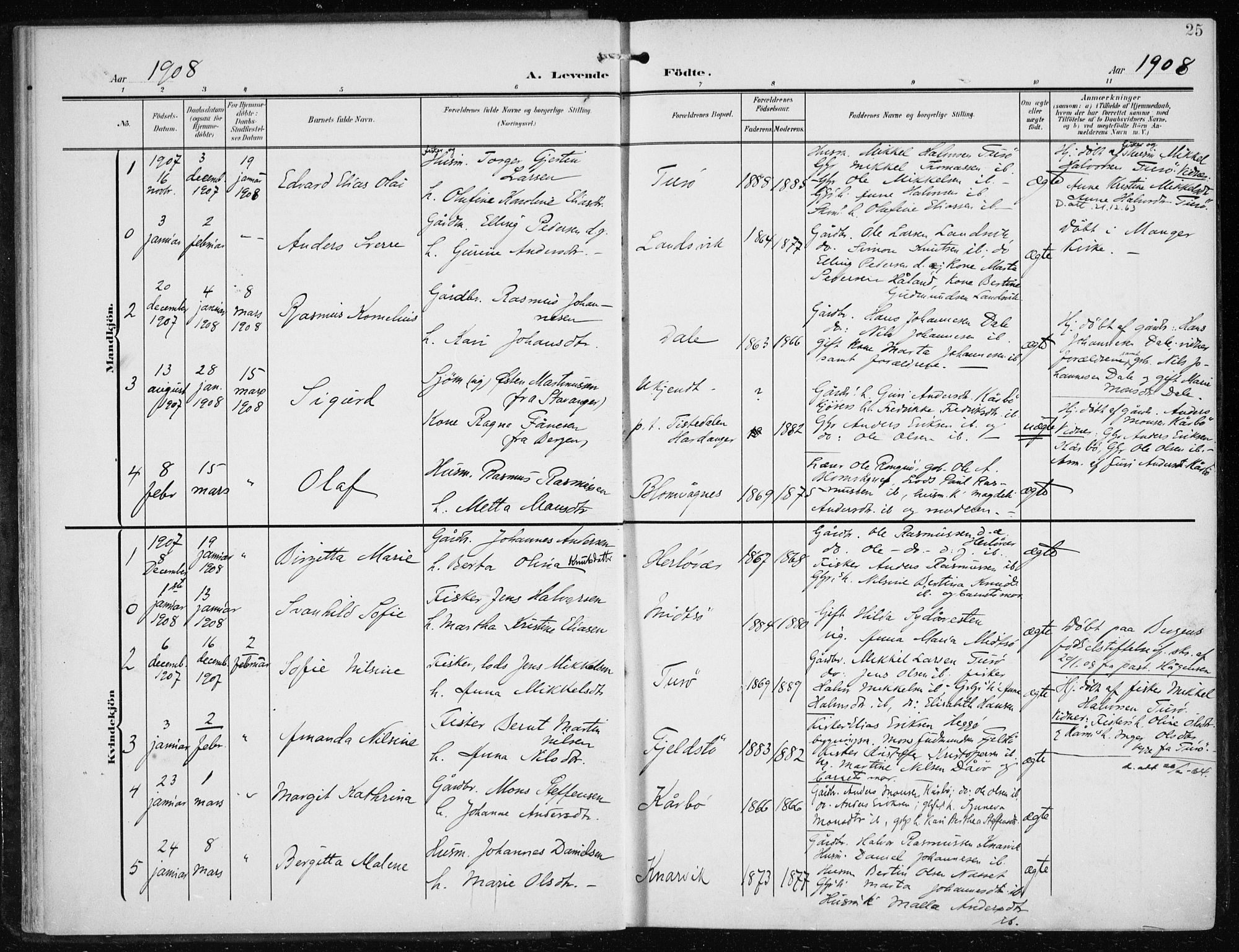 Herdla Sokneprestembete, SAB/A-75701/H/Haa: Parish register (official) no. A 5, 1905-1918, p. 25