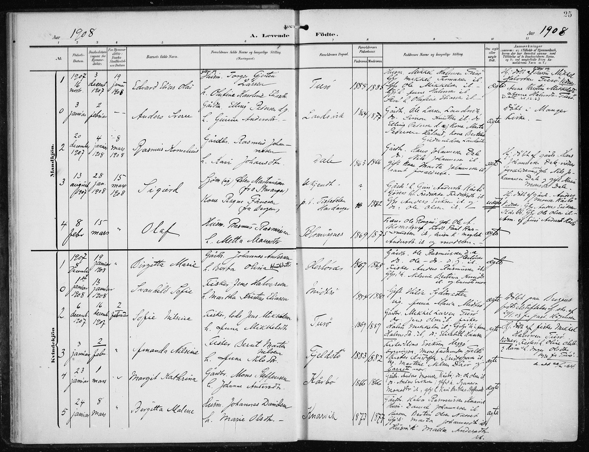 Herdla Sokneprestembete, AV/SAB-A-75701/H/Haa: Parish register (official) no. A 5, 1905-1918, p. 25