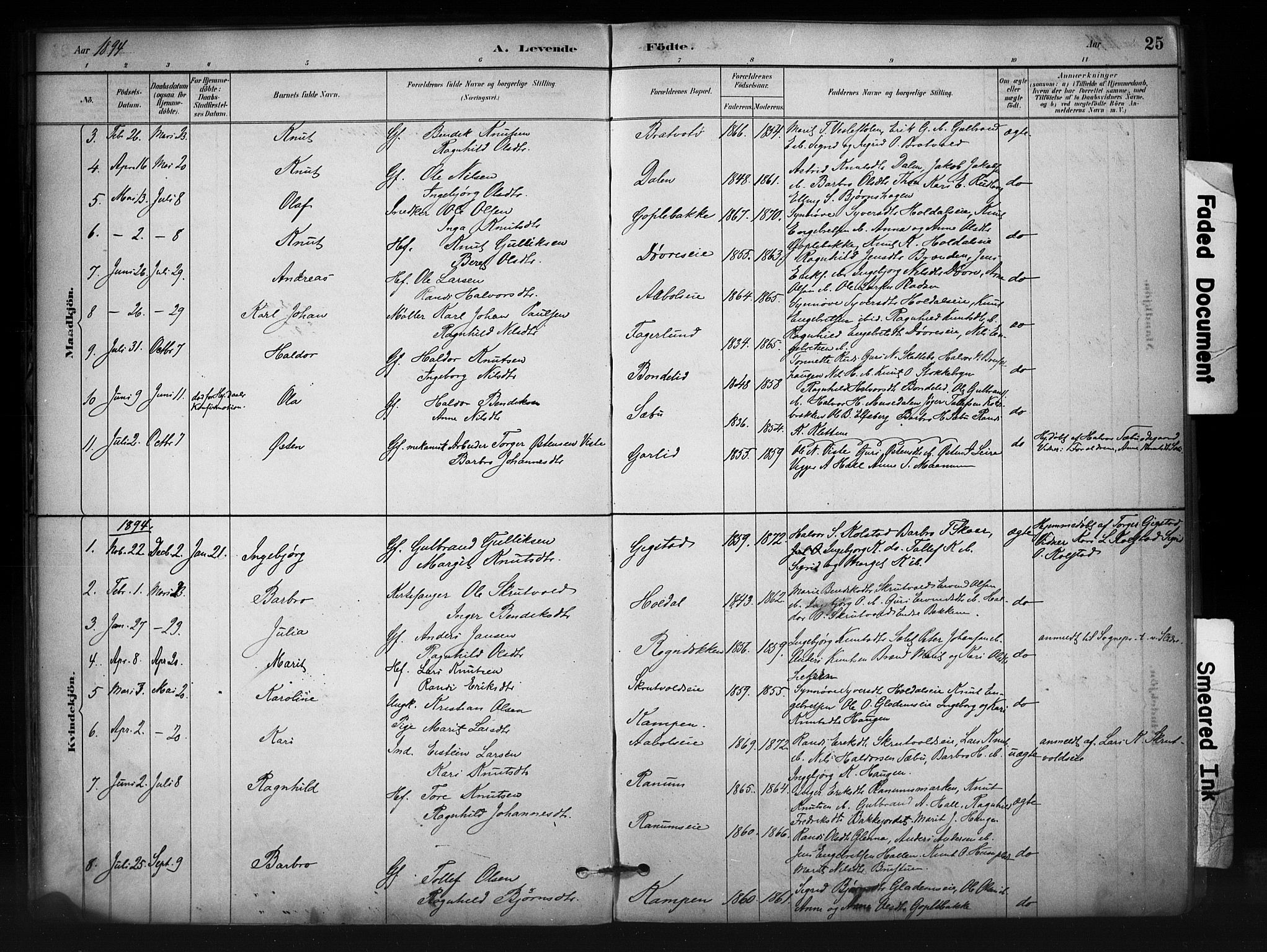 Nord-Aurdal prestekontor, SAH/PREST-132/H/Ha/Haa/L0012: Parish register (official) no. 12, 1883-1895, p. 25