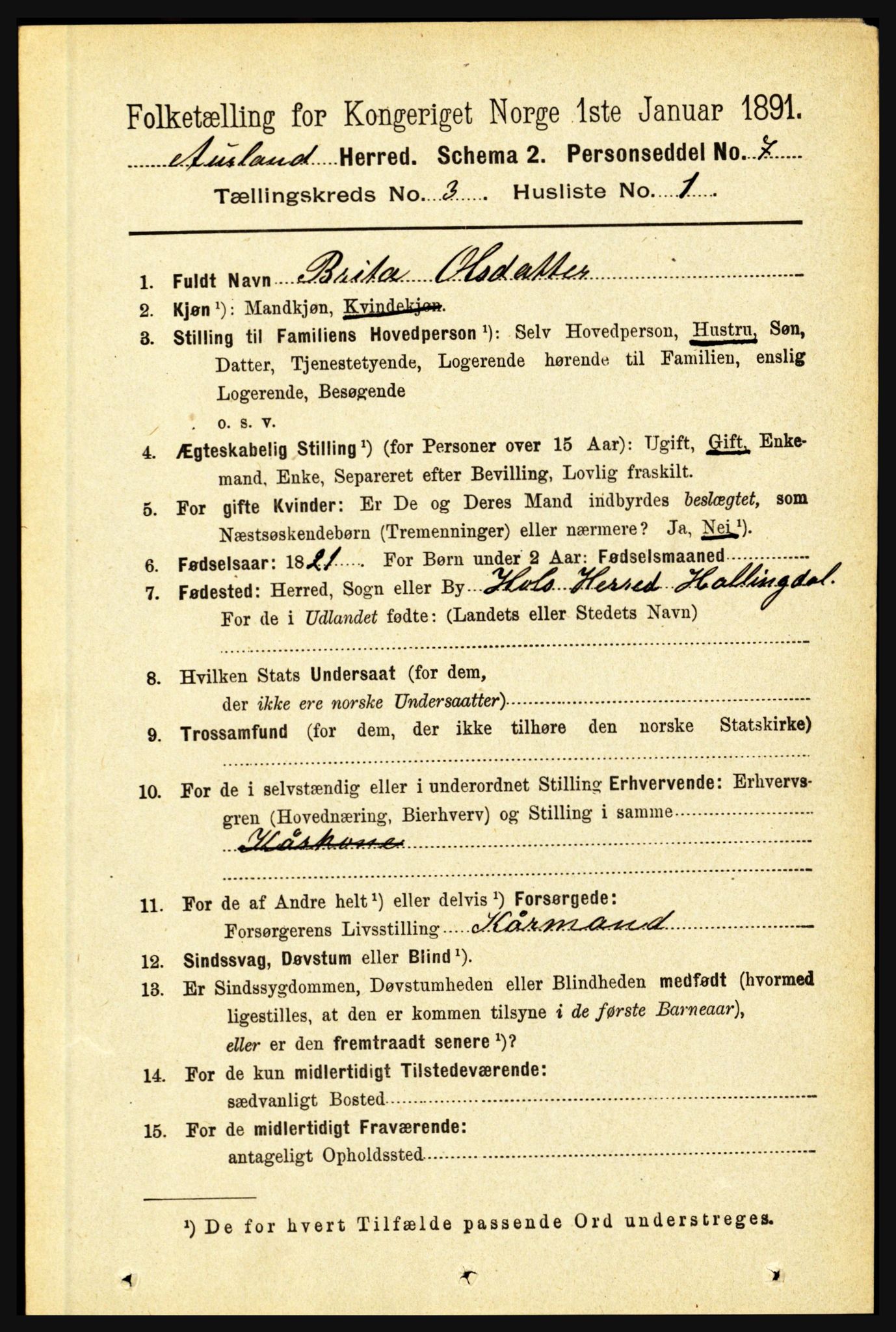 RA, 1891 census for 1421 Aurland, 1891, p. 949