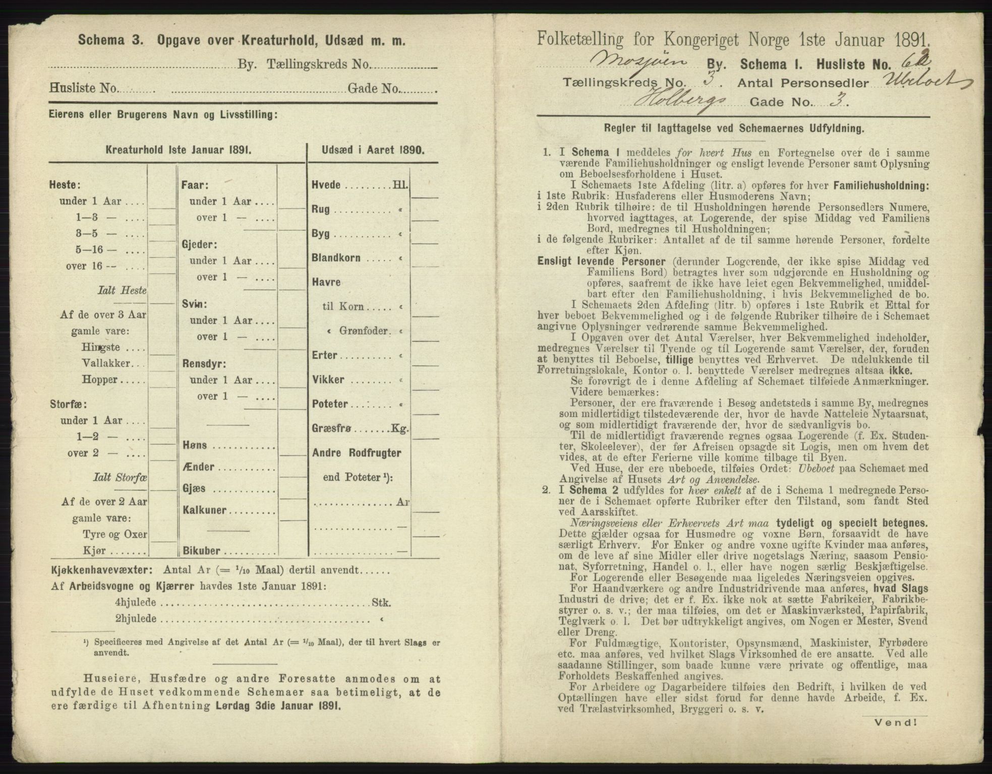 RA, 1891 census for 1802 Mosjøen, 1891, p. 1252