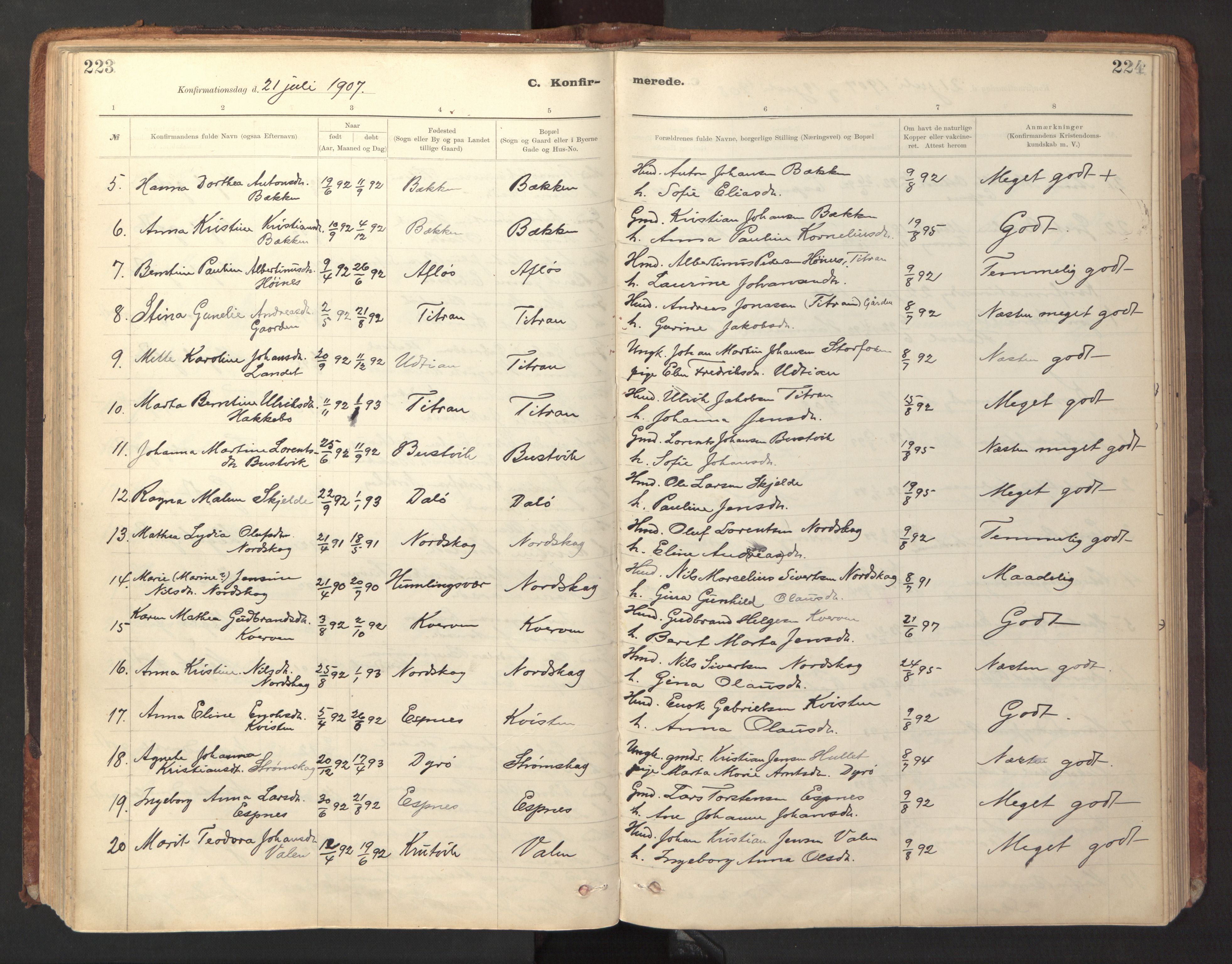 Ministerialprotokoller, klokkerbøker og fødselsregistre - Sør-Trøndelag, SAT/A-1456/641/L0596: Parish register (official) no. 641A02, 1898-1915, p. 223-224