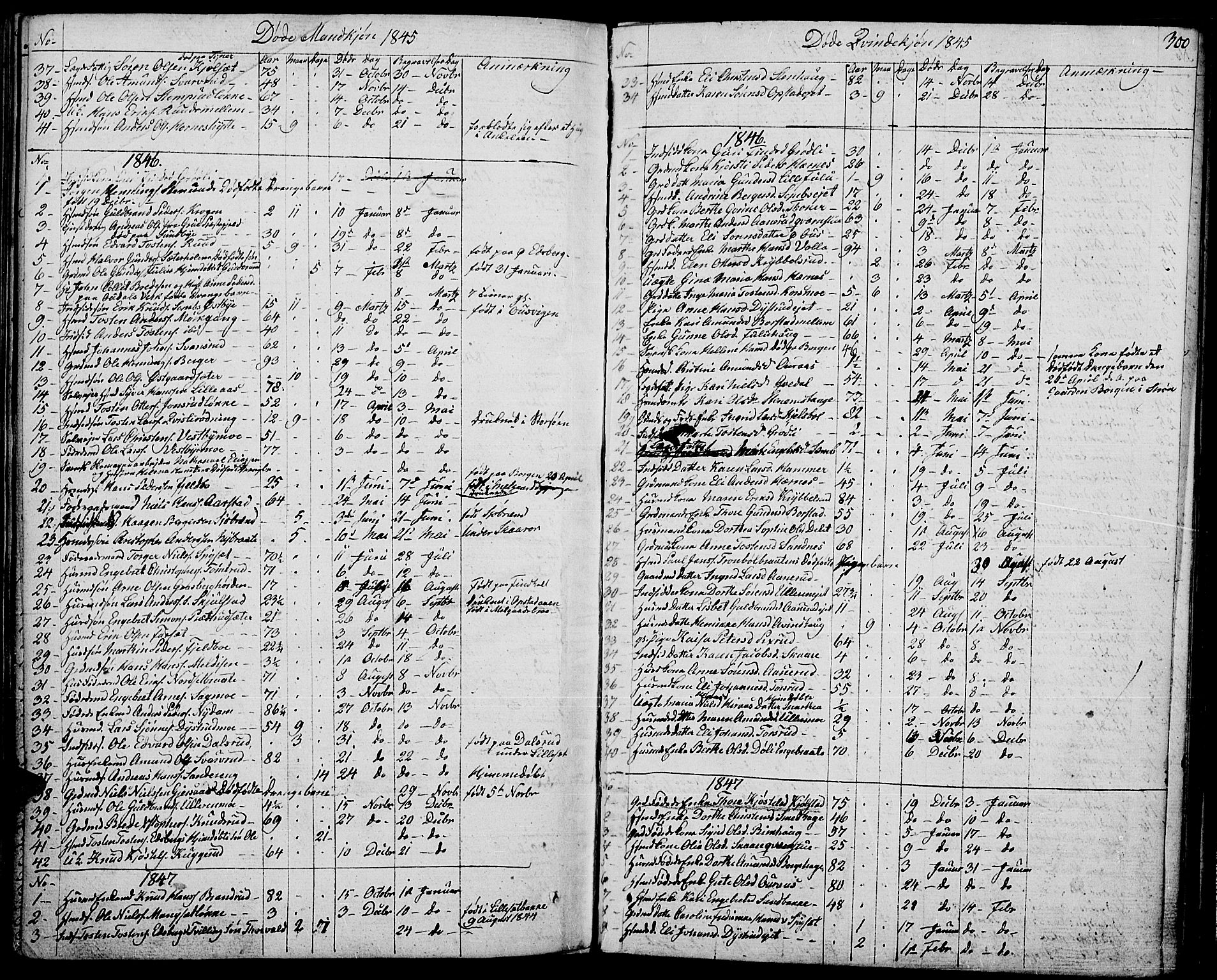 Strøm-Odalen prestekontor, SAH/PREST-028/H/Ha/Haa/L0005: Parish register (official) no. 5, 1811-1850, p. 300
