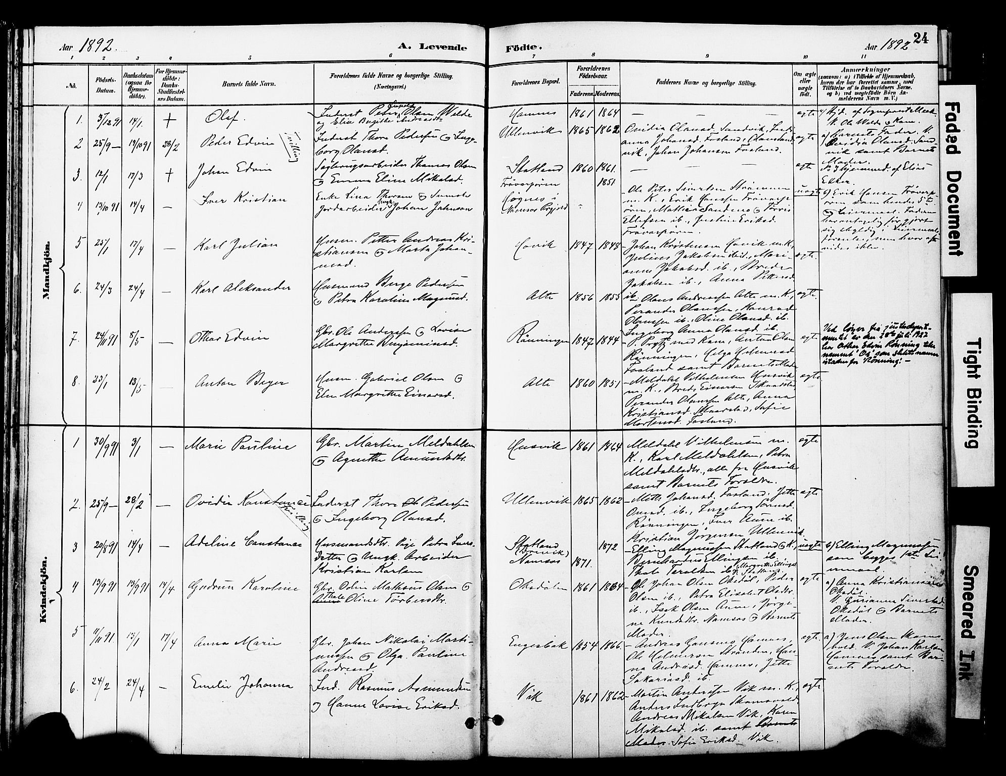 Ministerialprotokoller, klokkerbøker og fødselsregistre - Nord-Trøndelag, SAT/A-1458/774/L0628: Parish register (official) no. 774A02, 1887-1903, p. 24