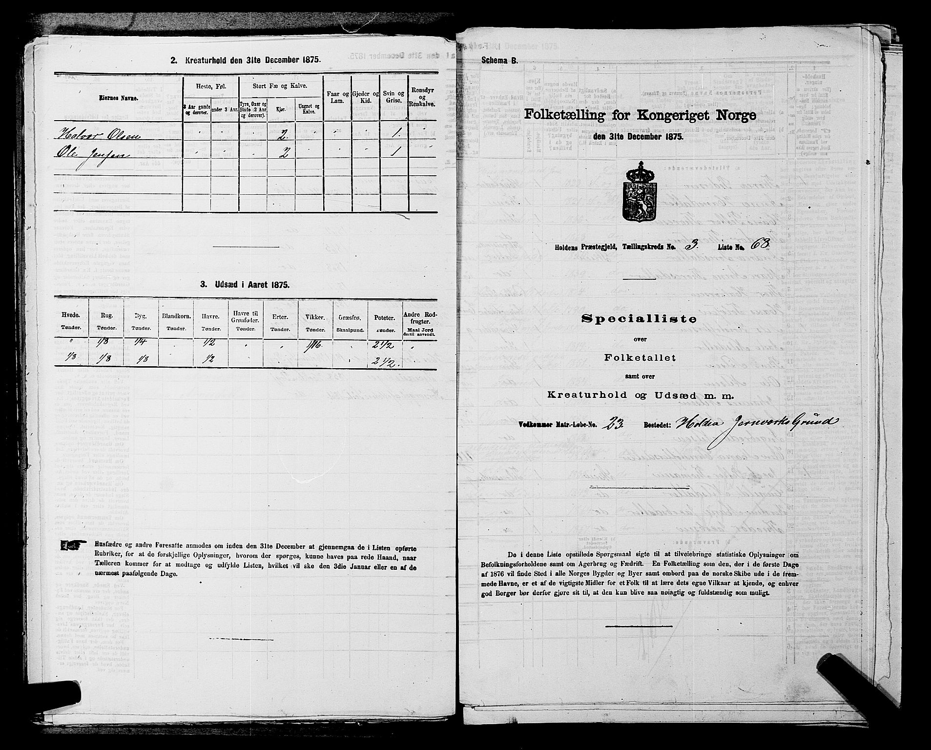 SAKO, 1875 census for 0819P Holla, 1875, p. 420