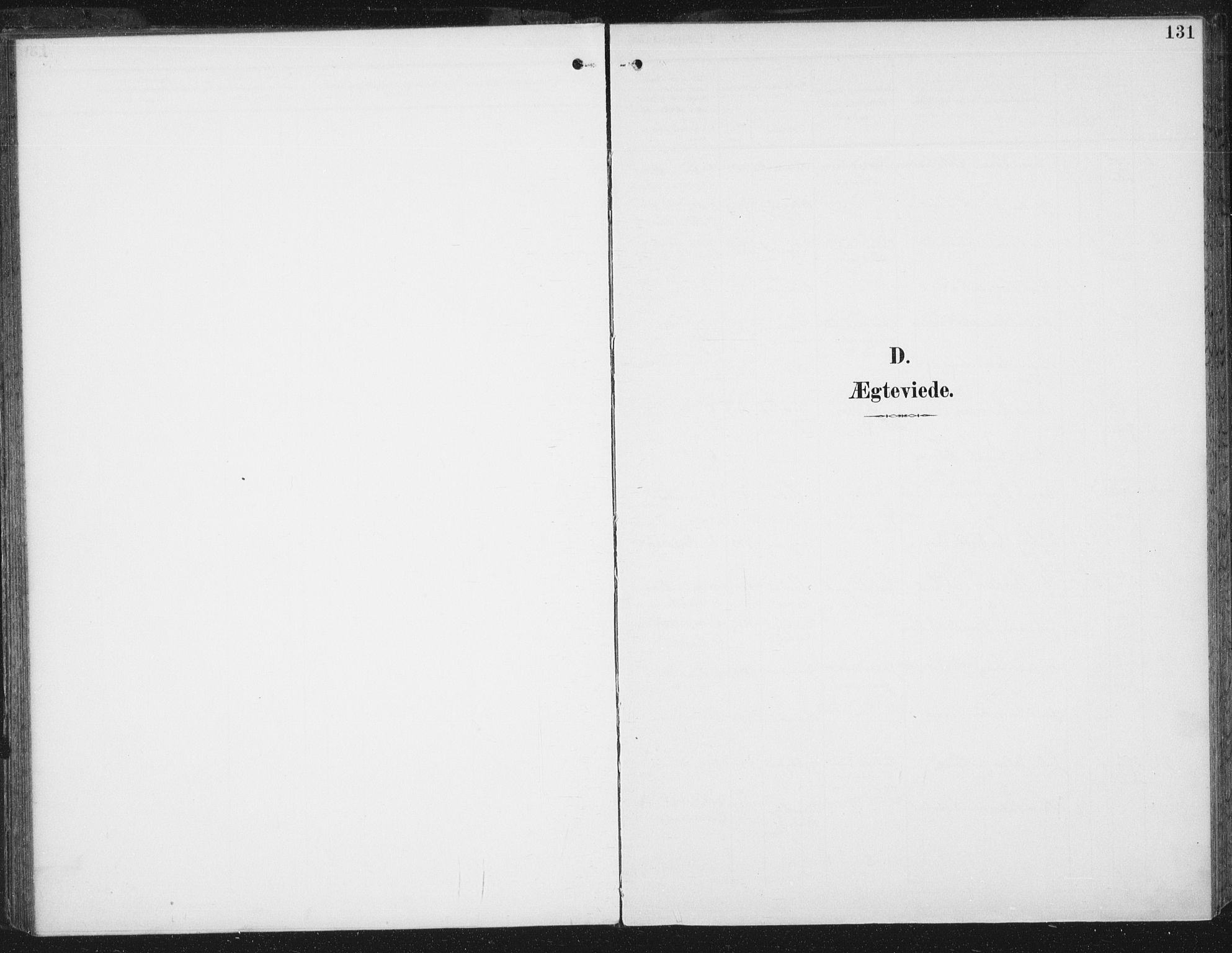 Ministerialprotokoller, klokkerbøker og fødselsregistre - Sør-Trøndelag, SAT/A-1456/674/L0872: Parish register (official) no. 674A04, 1897-1907, p. 131