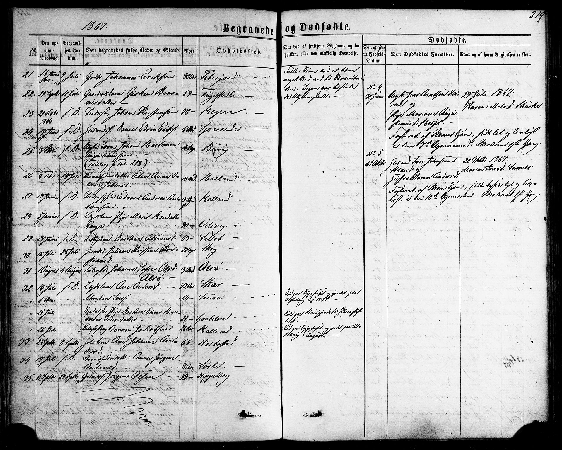 Ministerialprotokoller, klokkerbøker og fødselsregistre - Nordland, AV/SAT-A-1459/838/L0551: Parish register (official) no. 838A09, 1864-1880, p. 219