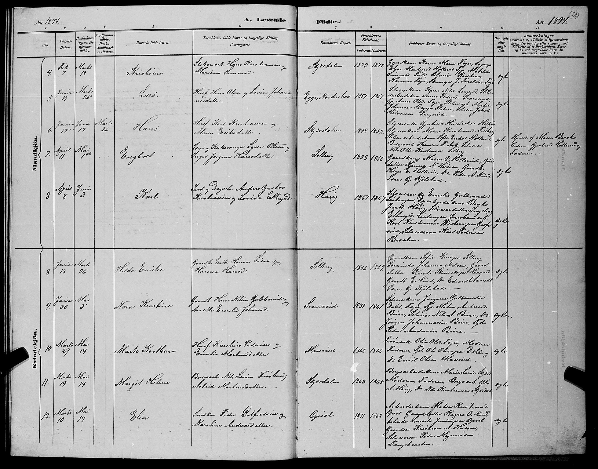 Hole kirkebøker, SAKO/A-228/G/Gb/L0003: Parish register (copy) no. II 3, 1890-1901, p. 22