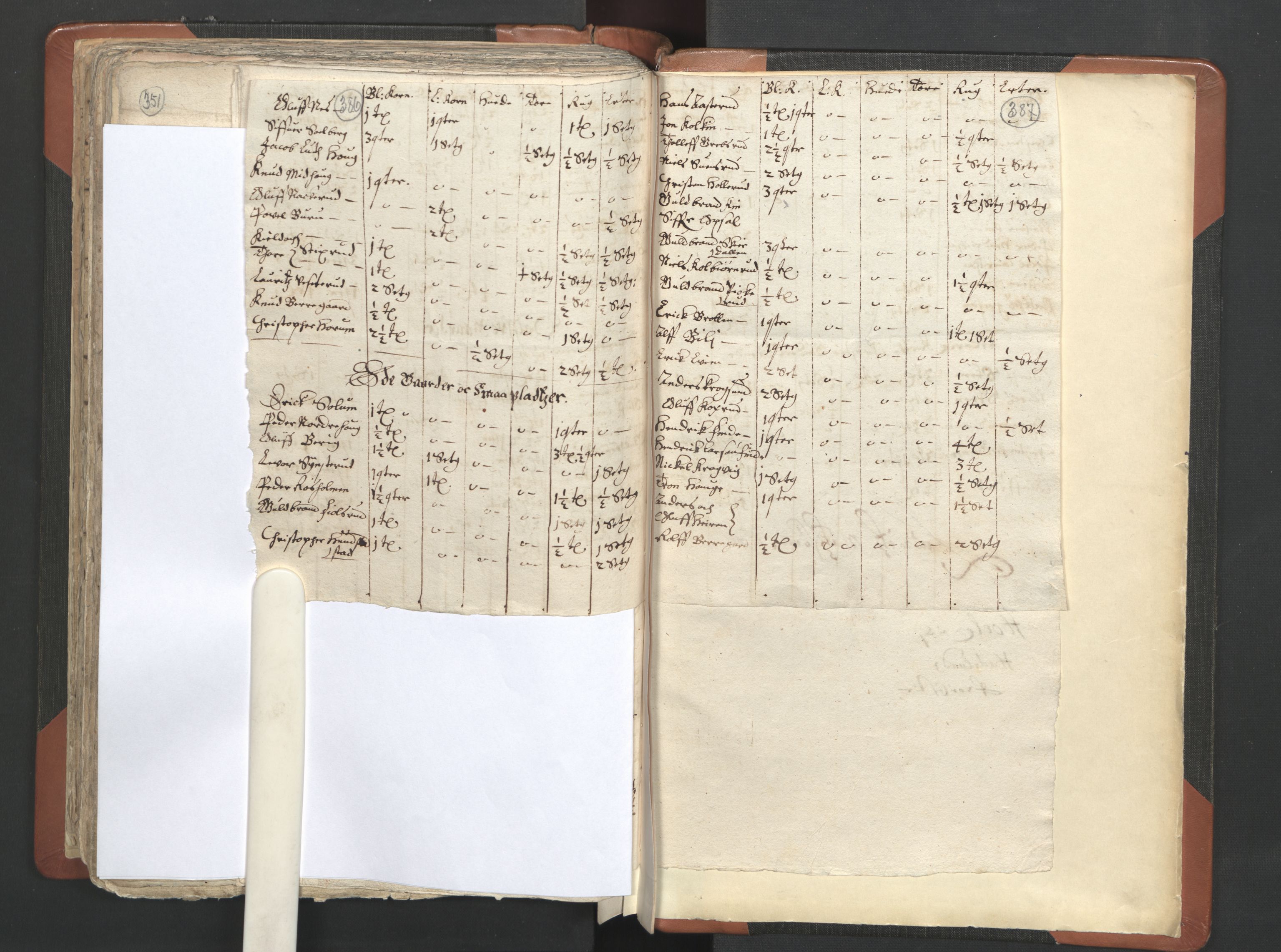 RA, Vicar's Census 1664-1666, no. 7: Hadeland deanery, 1664-1666, p. 386-387
