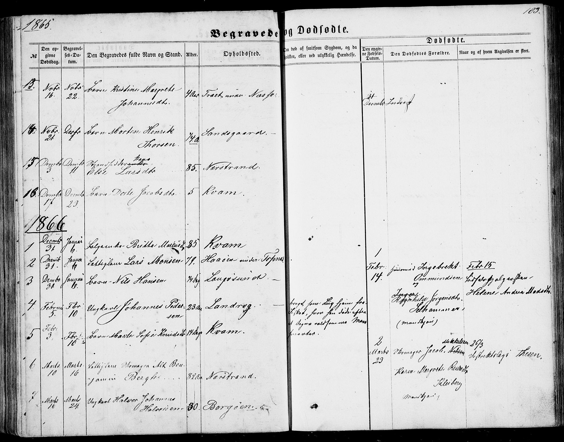 Nedstrand sokneprestkontor, SAST/A-101841/01/IV: Parish register (official) no. A 9, 1861-1876, p. 183