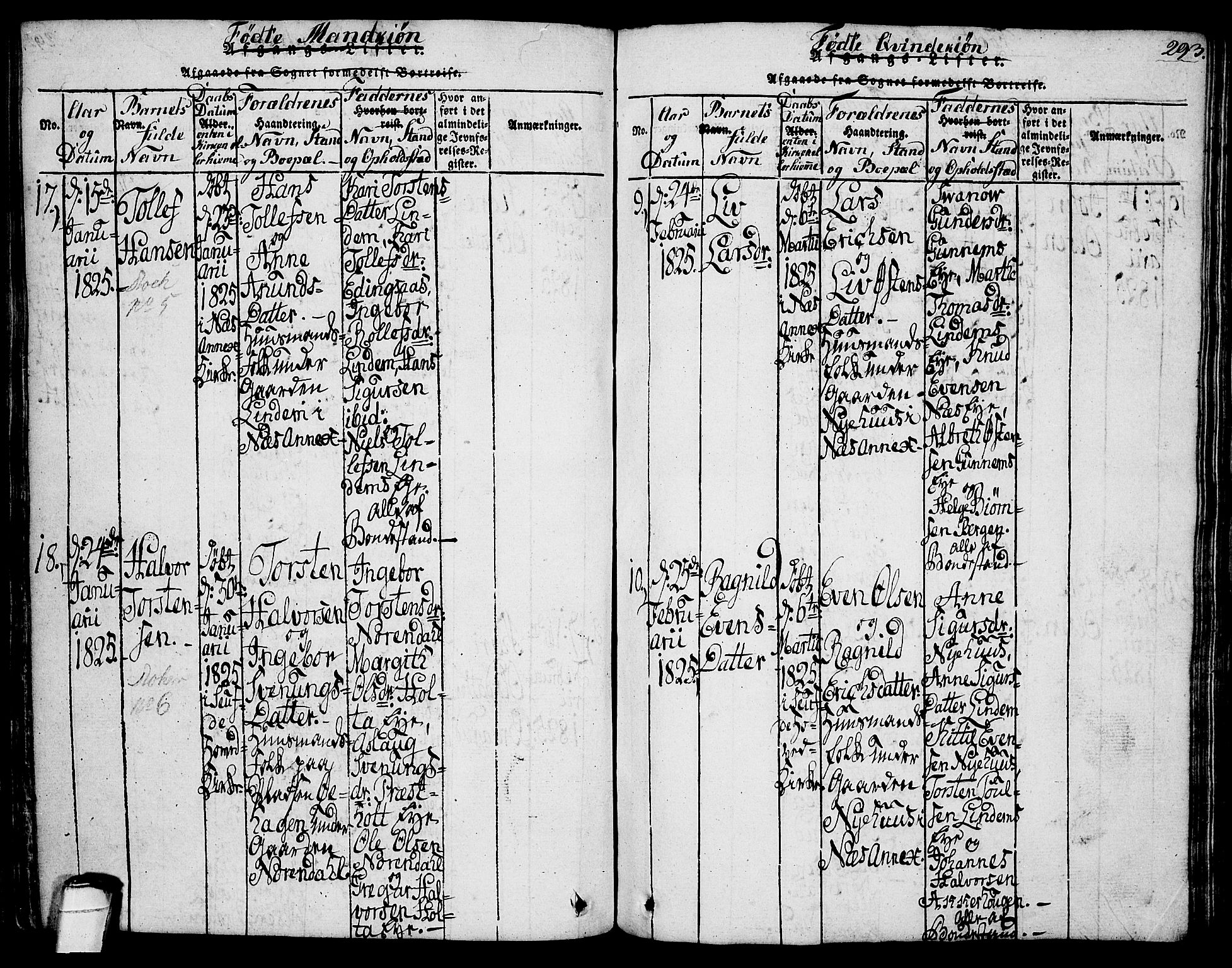 Sauherad kirkebøker, AV/SAKO-A-298/G/Ga/L0001: Parish register (copy) no. I 1, 1815-1827, p. 293