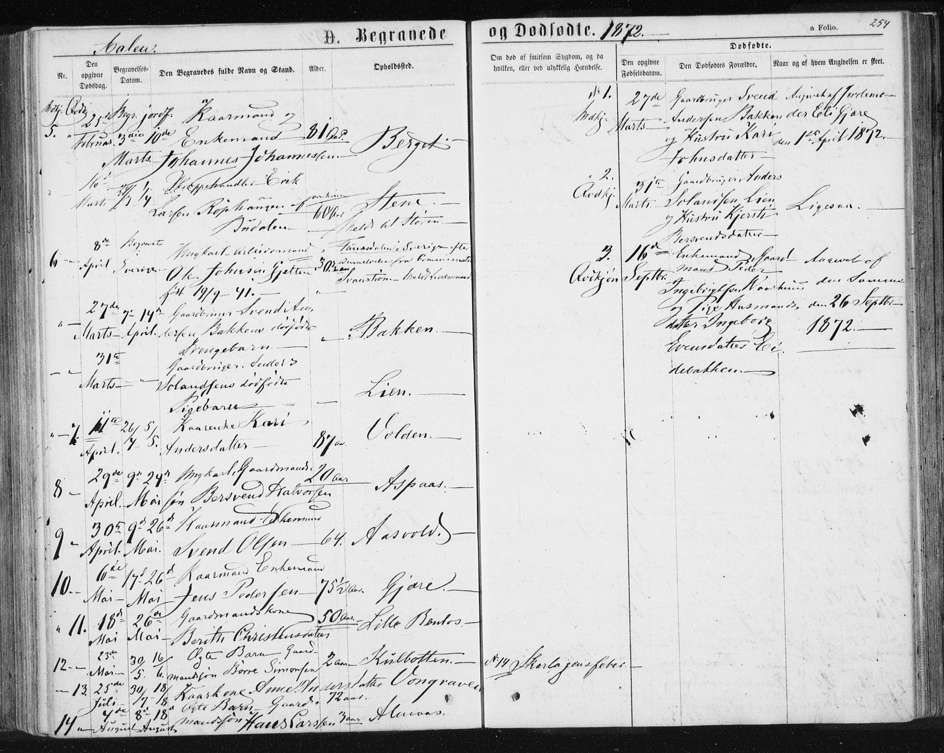 Ministerialprotokoller, klokkerbøker og fødselsregistre - Sør-Trøndelag, SAT/A-1456/685/L0971: Parish register (official) no. 685A08 /3, 1870-1879, p. 254