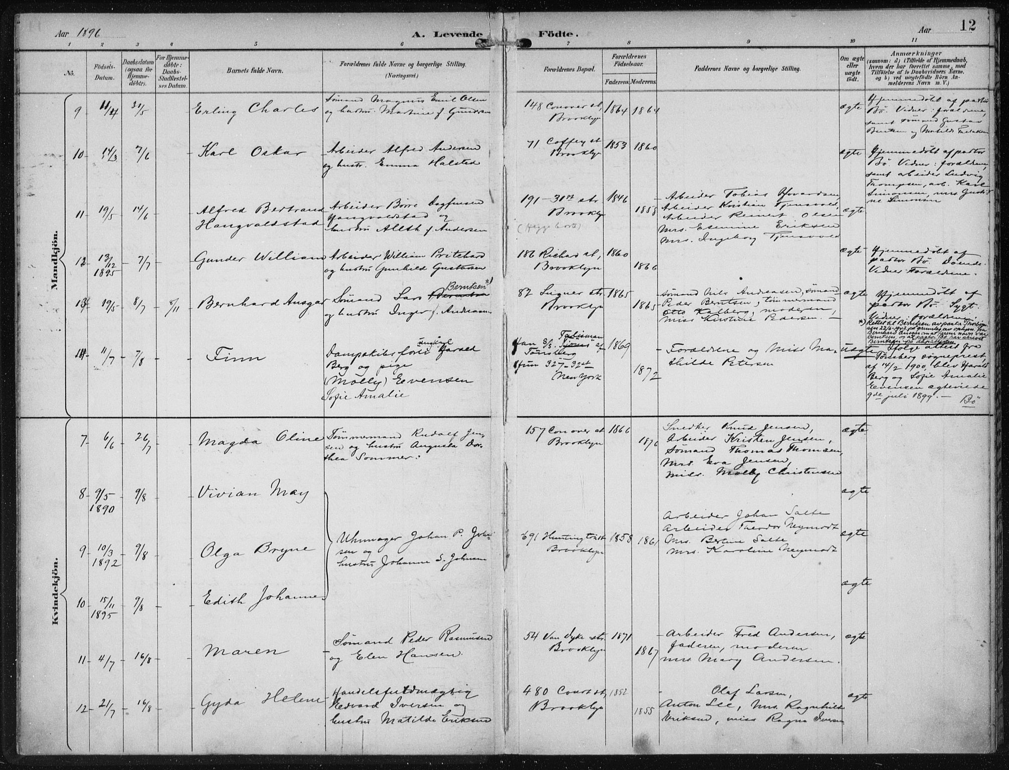 Den norske sjømannsmisjon i utlandet/New York, SAB/SAB/PA-0110/H/Ha/L0004: Parish register (official) no. A 4, 1893-1901, p. 12
