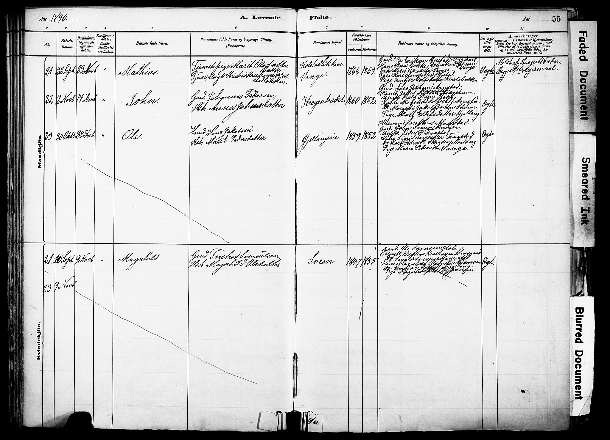 Skjåk prestekontor, SAH/PREST-072/H/Ha/Haa/L0003: Parish register (official) no. 3, 1880-1907, p. 55