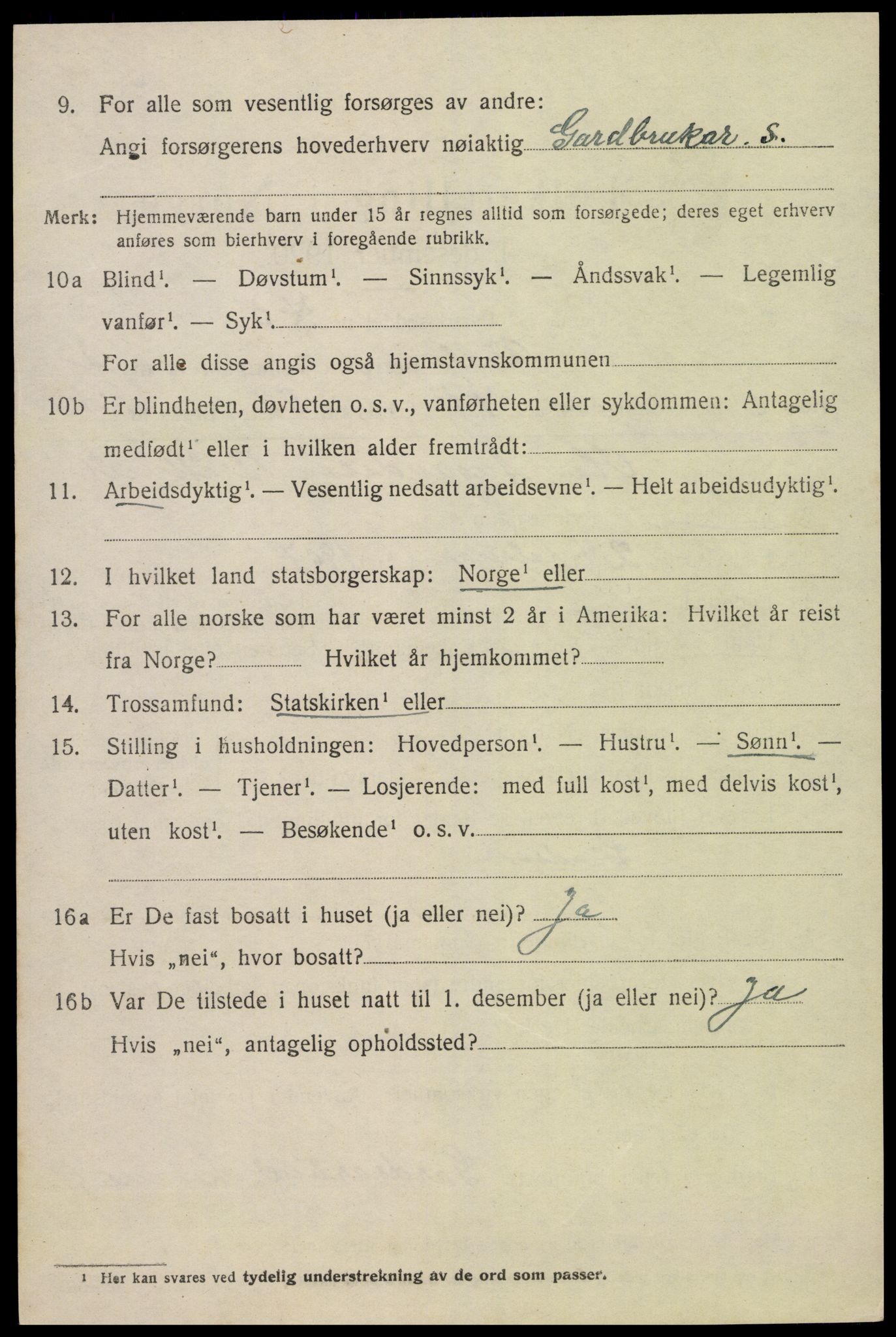 SAK, 1920 census for Valle, 1920, p. 1458