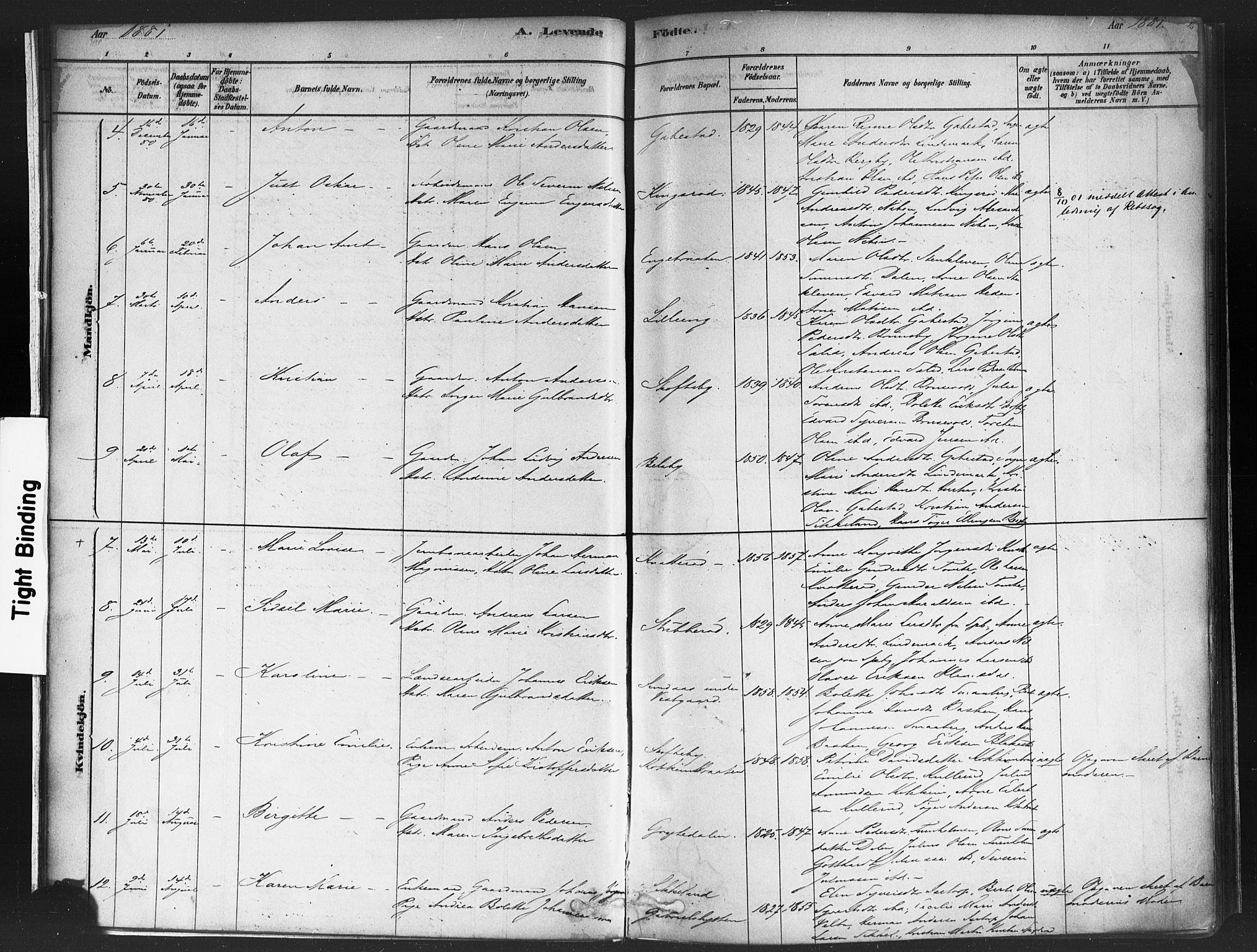 Varteig prestekontor Kirkebøker, AV/SAO-A-10447a/F/Fa/L0002: Parish register (official) no. 2, 1878-1899, p. 16